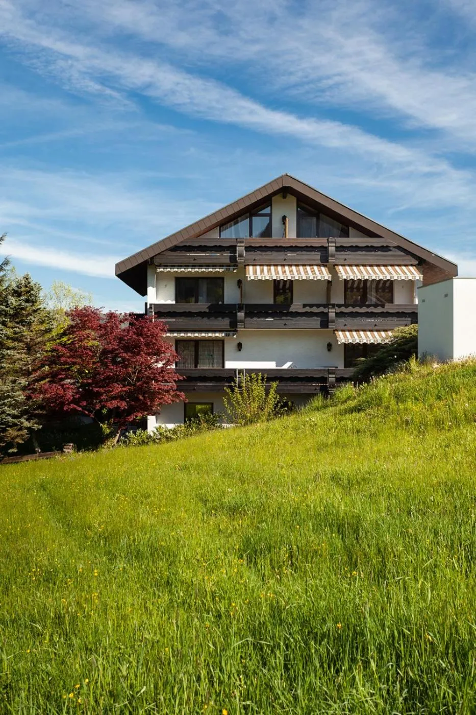 Property building in Hotel Petra