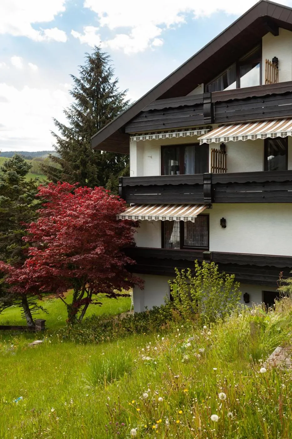 Property building in Hotel Petra