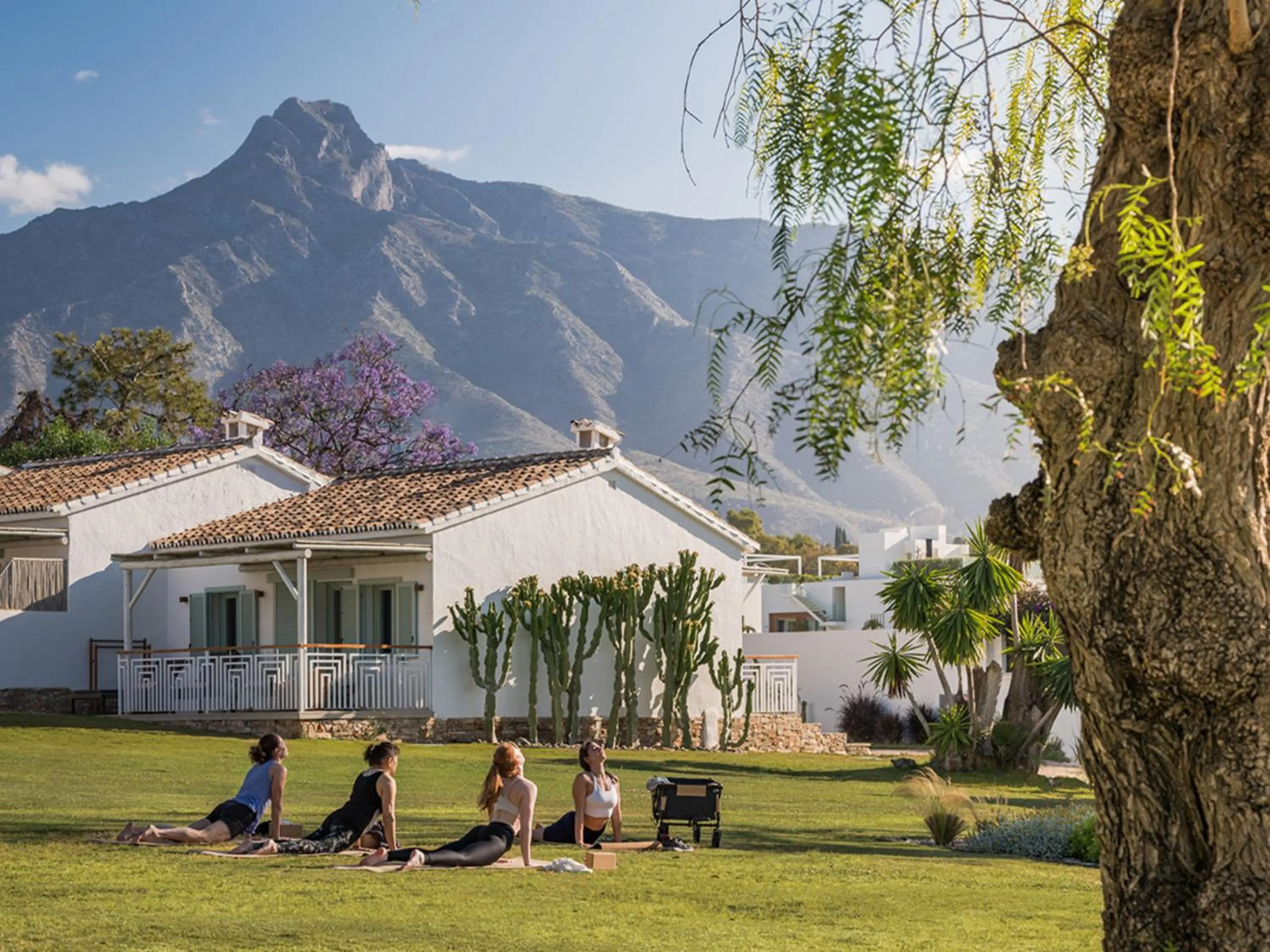 Spa and wellness centre/facilities in Boho Club