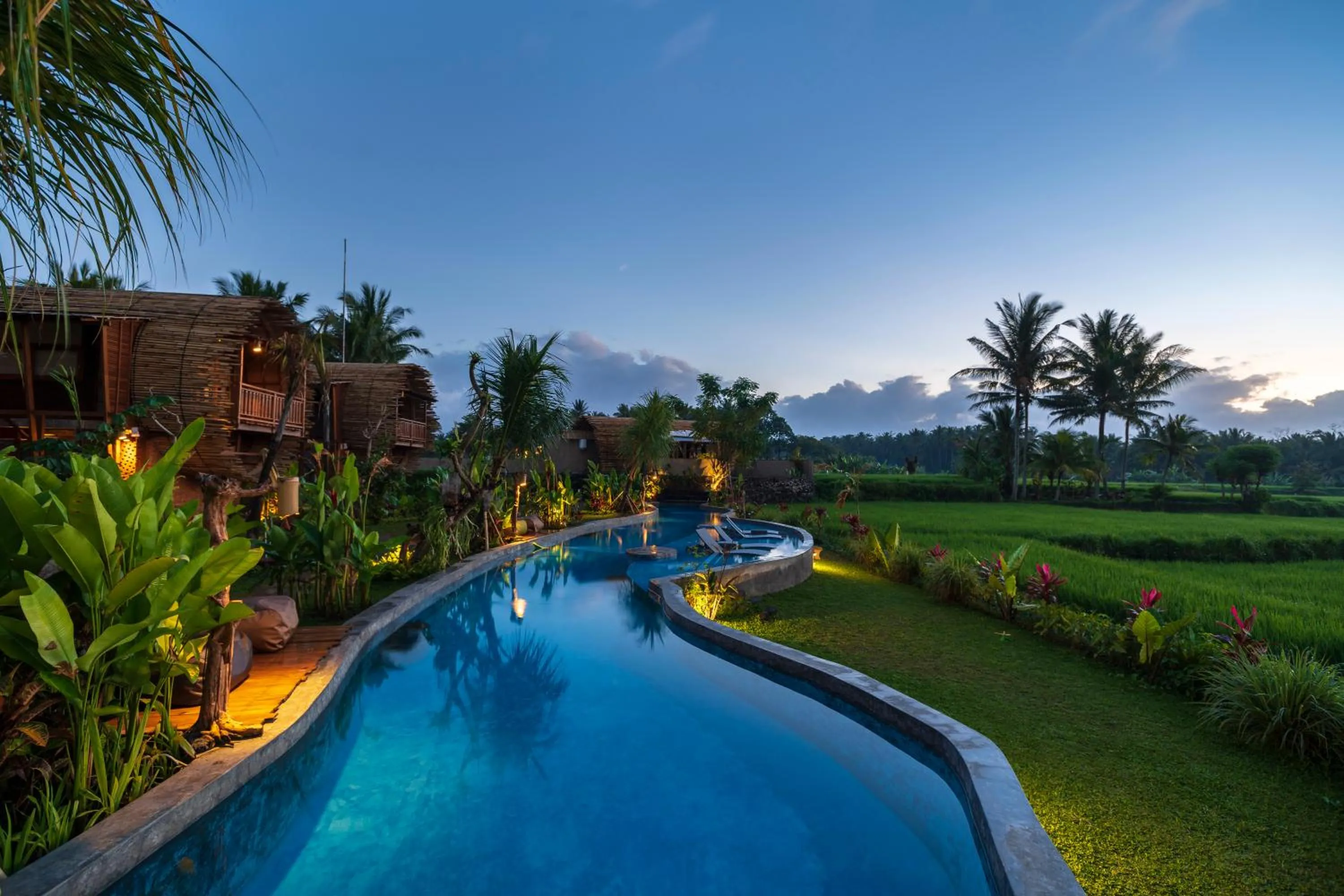 Swimming pool in Beehouse Dijiwa Ubud