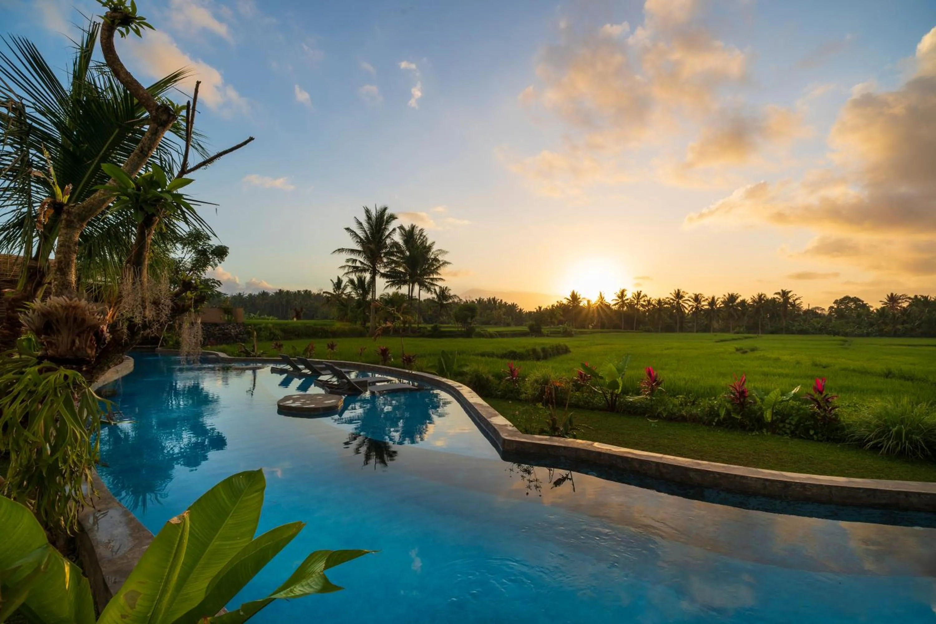Swimming pool in Beehouse Dijiwa Ubud
