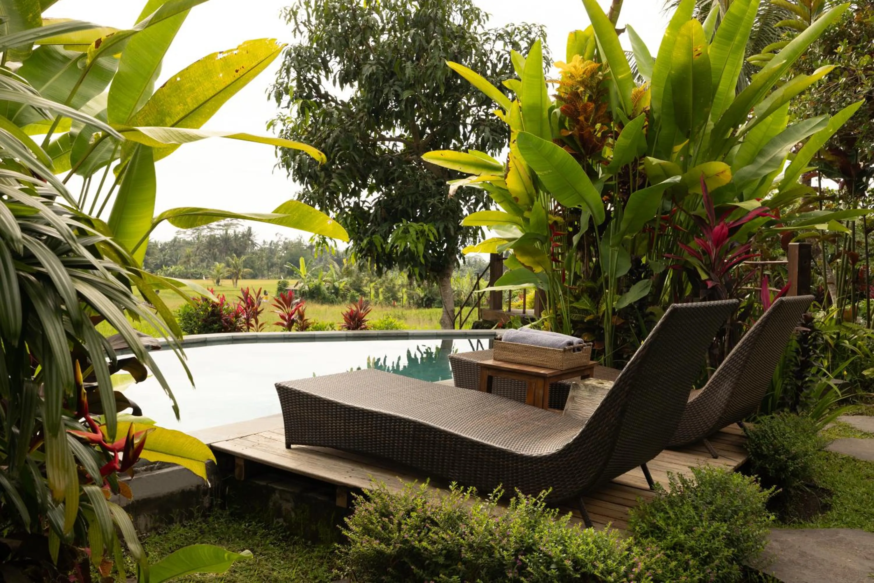 Swimming pool in Beehouse Dijiwa Ubud