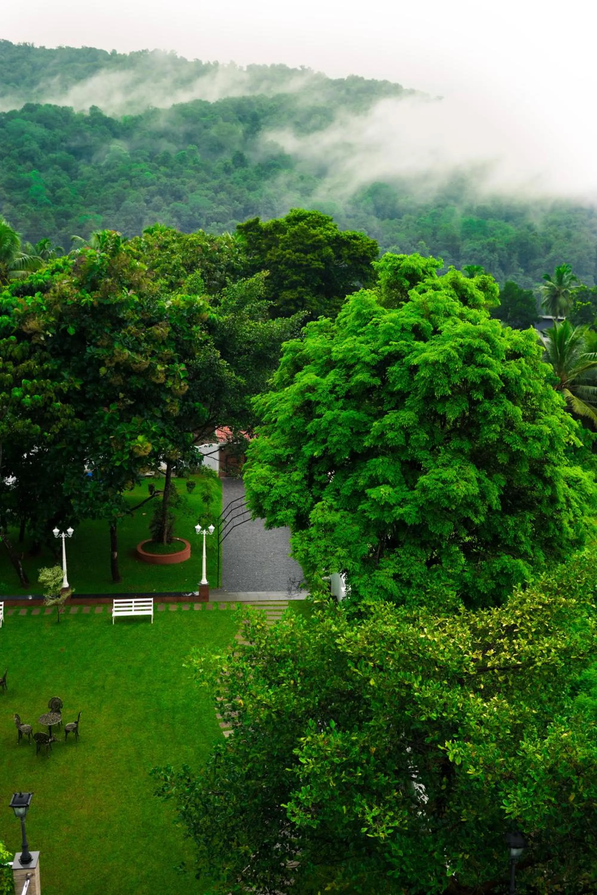Garden in Athirappilly Rainland Resort