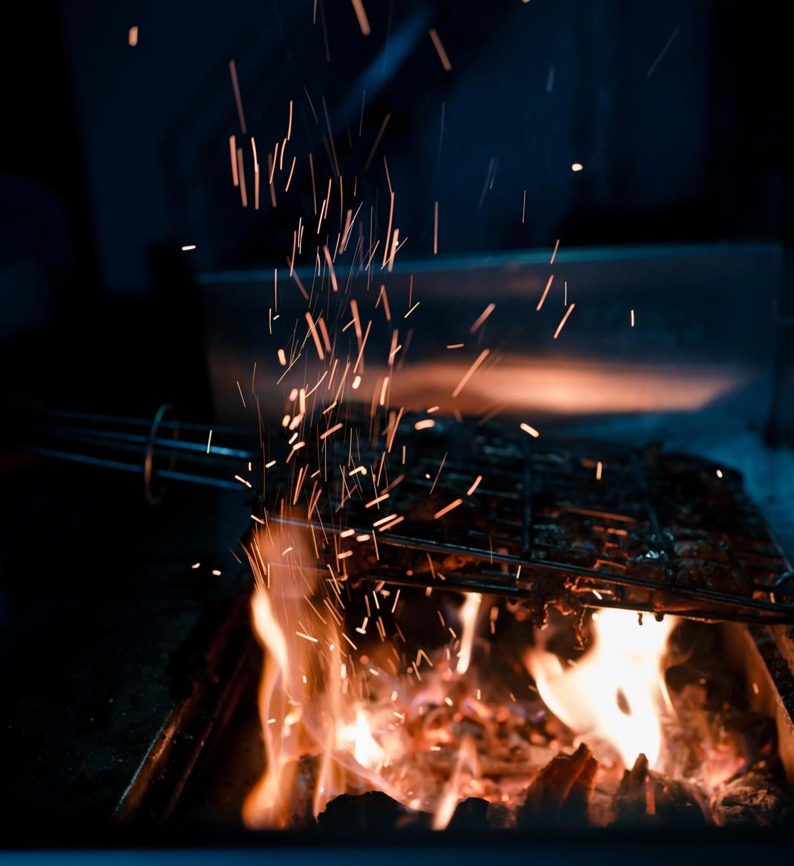 BBQ facilities in Athirappilly Rainland Resort