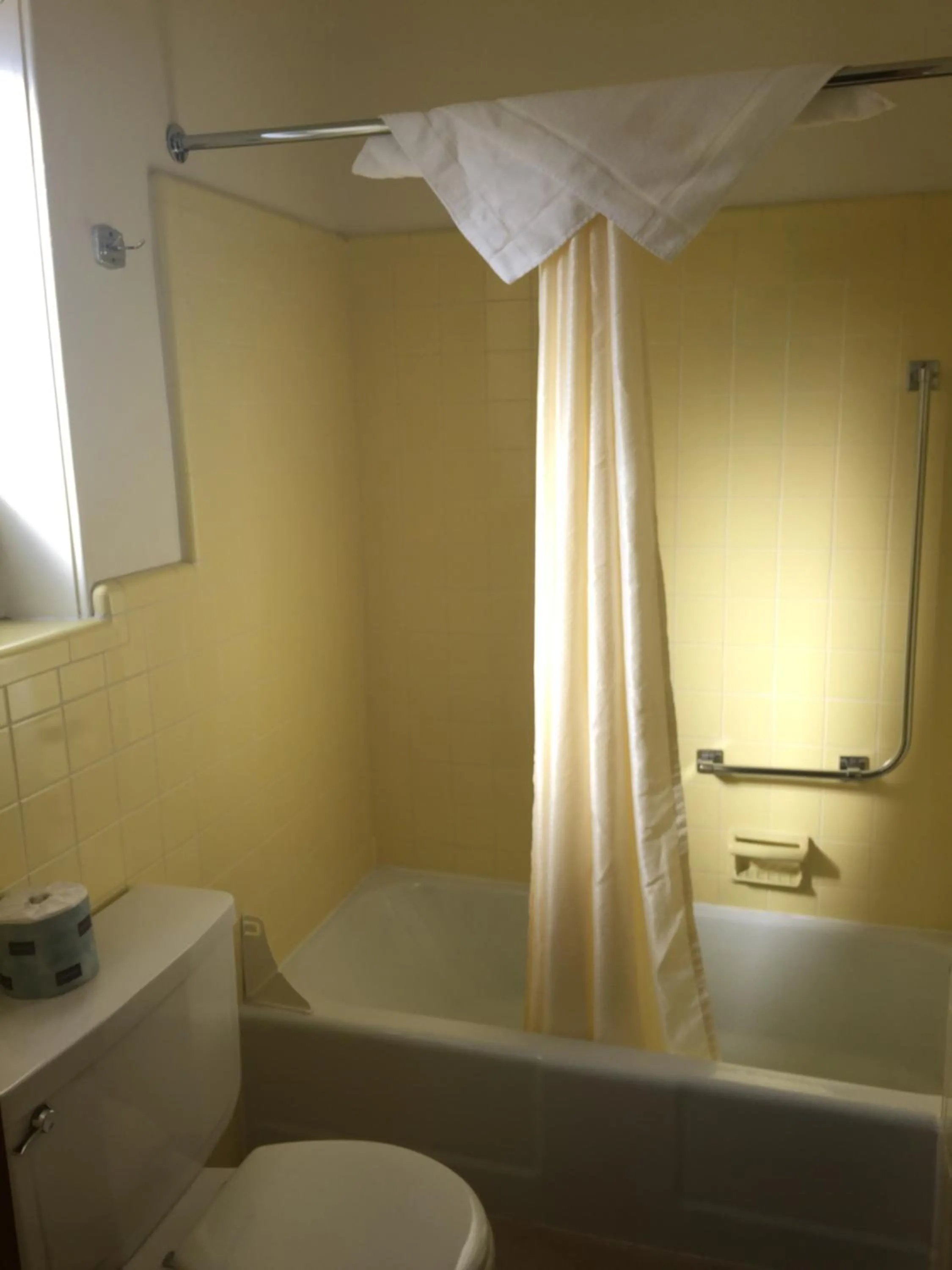 Bathroom in Mansion House Motel