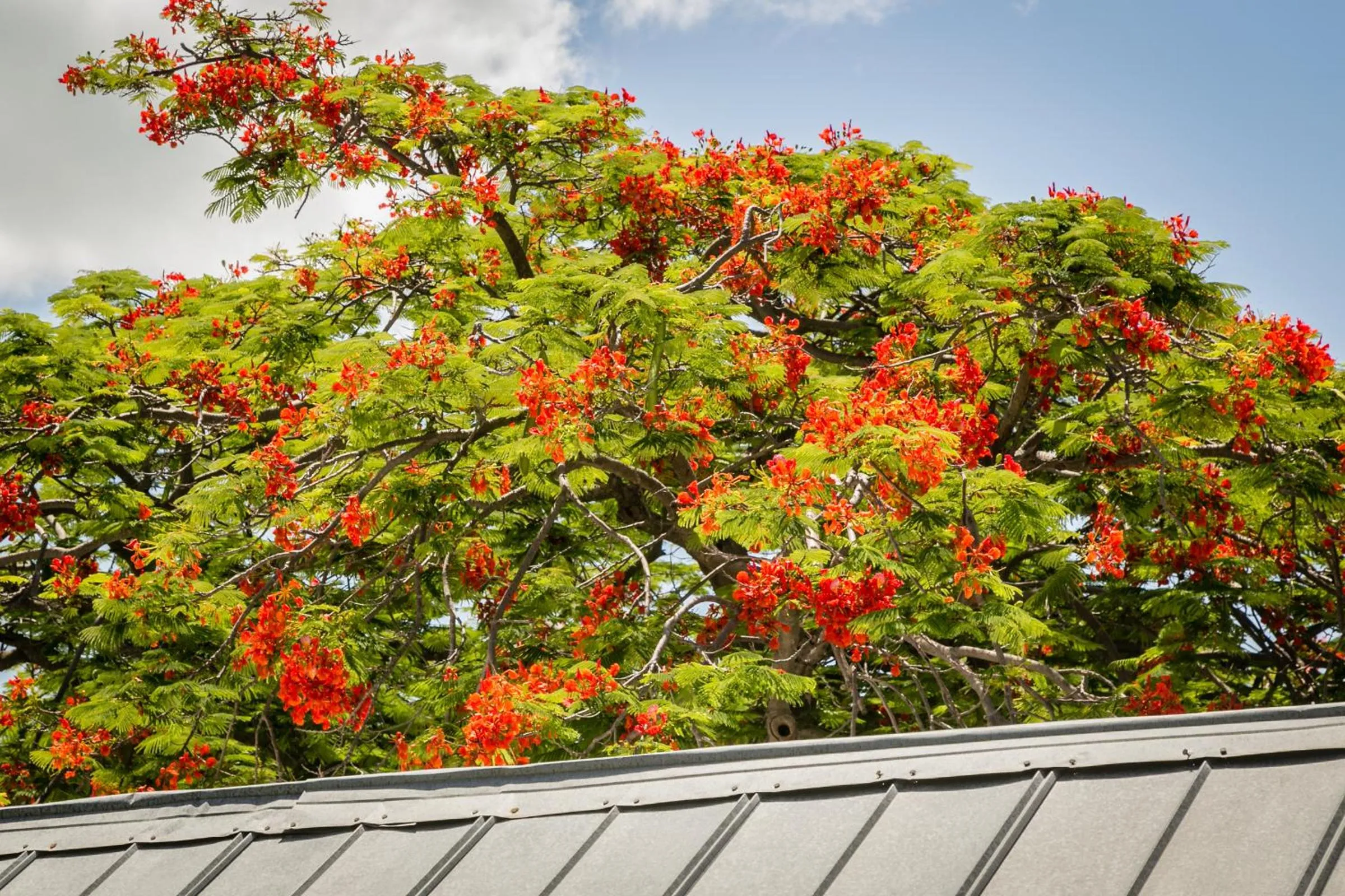 Bird's eye view in Courtney's Place Historic Cottages & Inns
