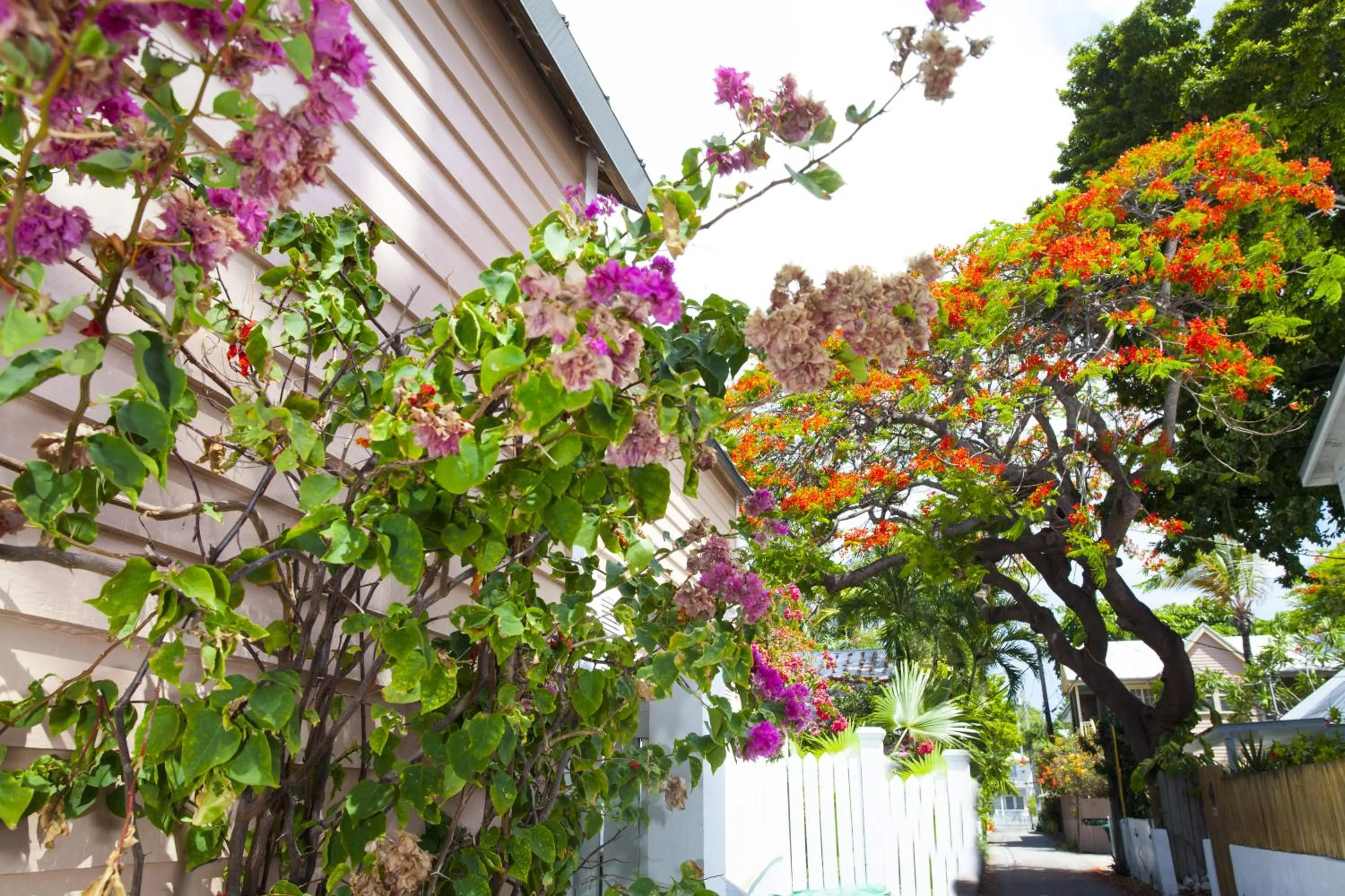 Facade/entrance in Courtney's Place Historic Cottages & Inns