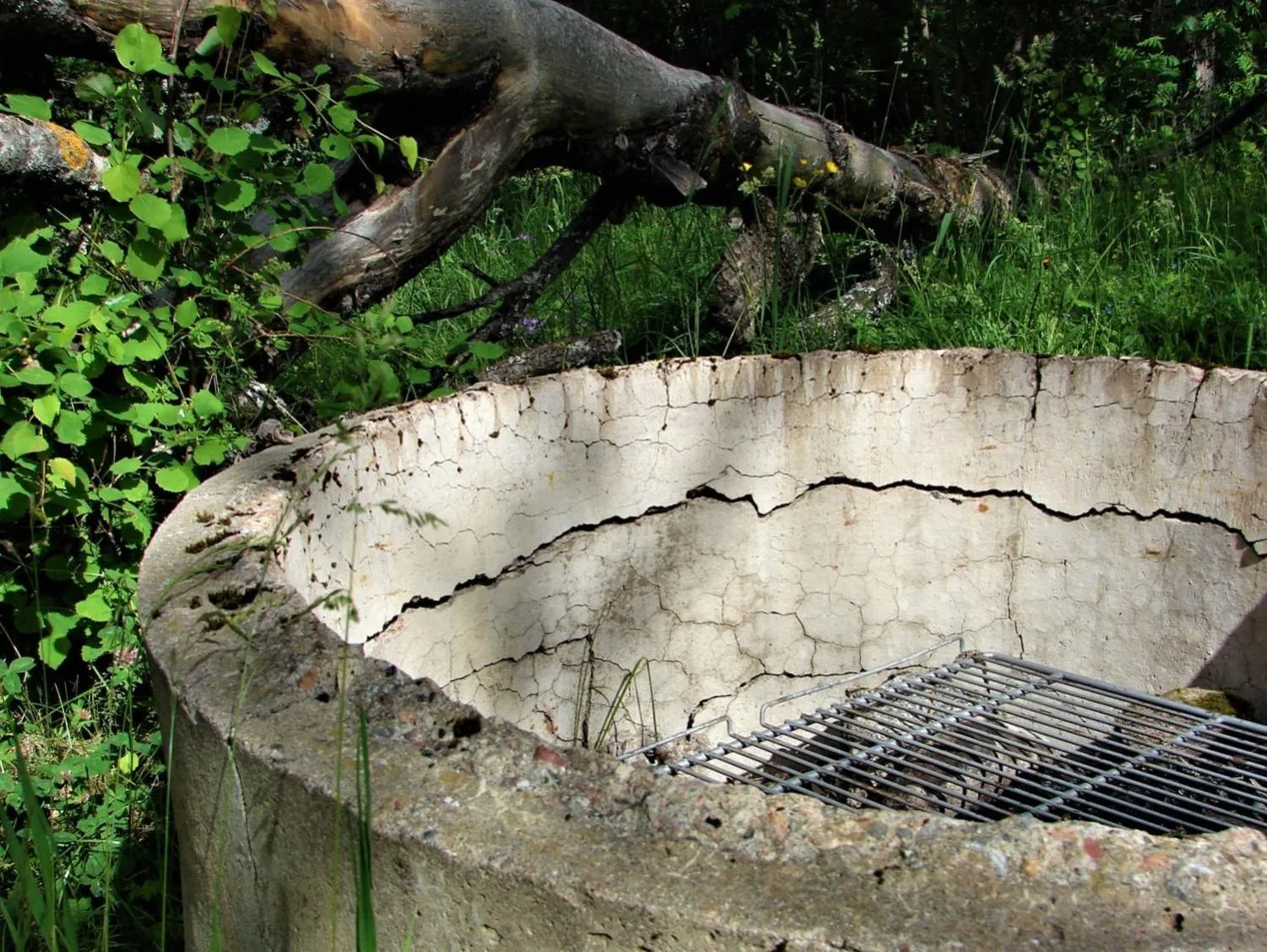 Garden in Sjugare Gård Bed & Breakfast