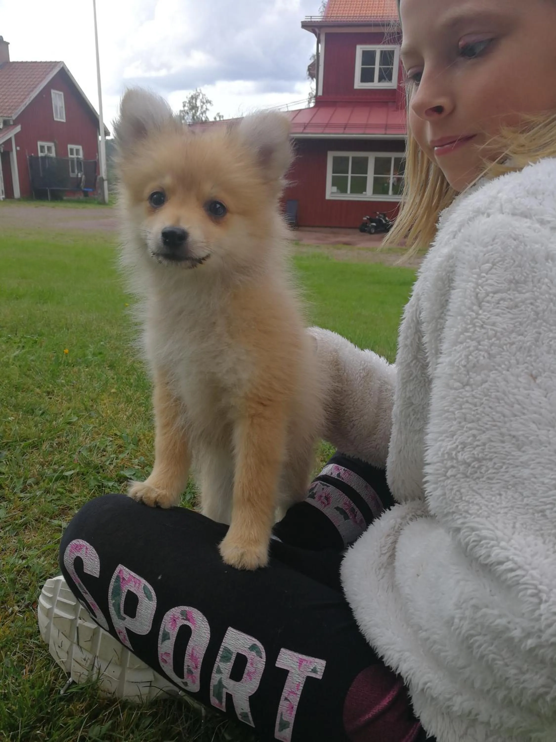 Pets in Sjugare Gård Bed & Breakfast