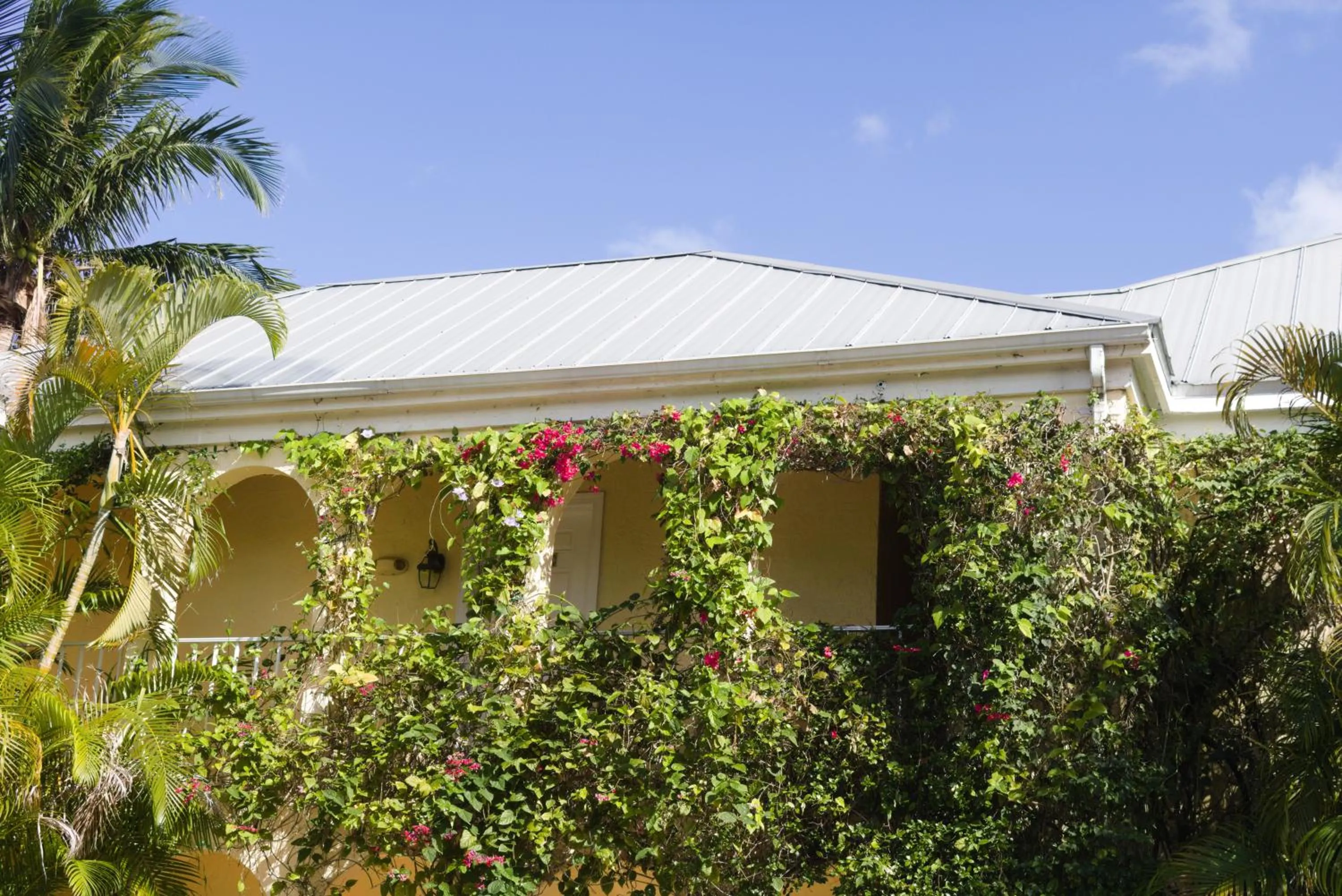 Property building in The Caribbean Court Boutique Hotel