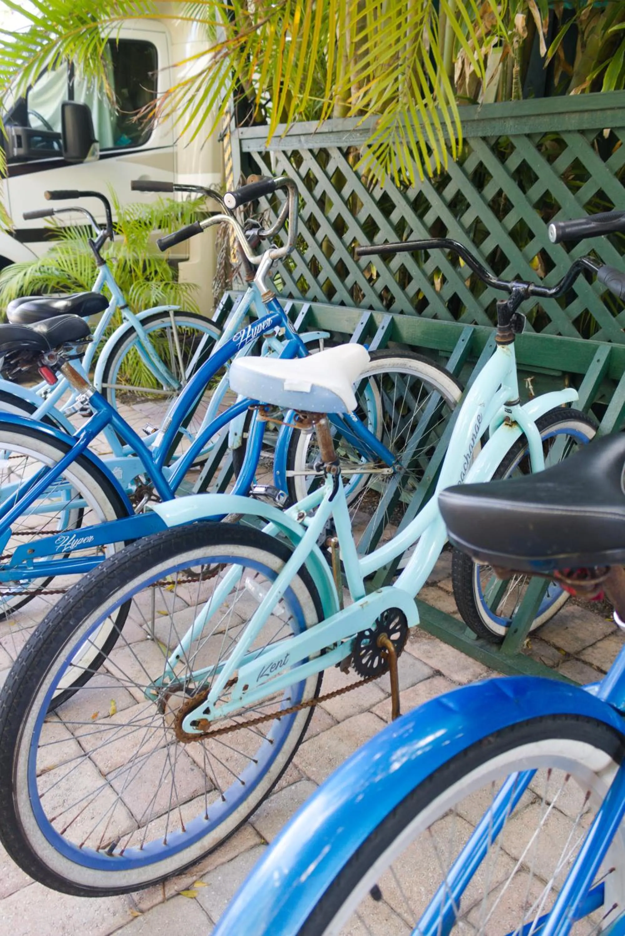 Day in The Caribbean Court Boutique Hotel