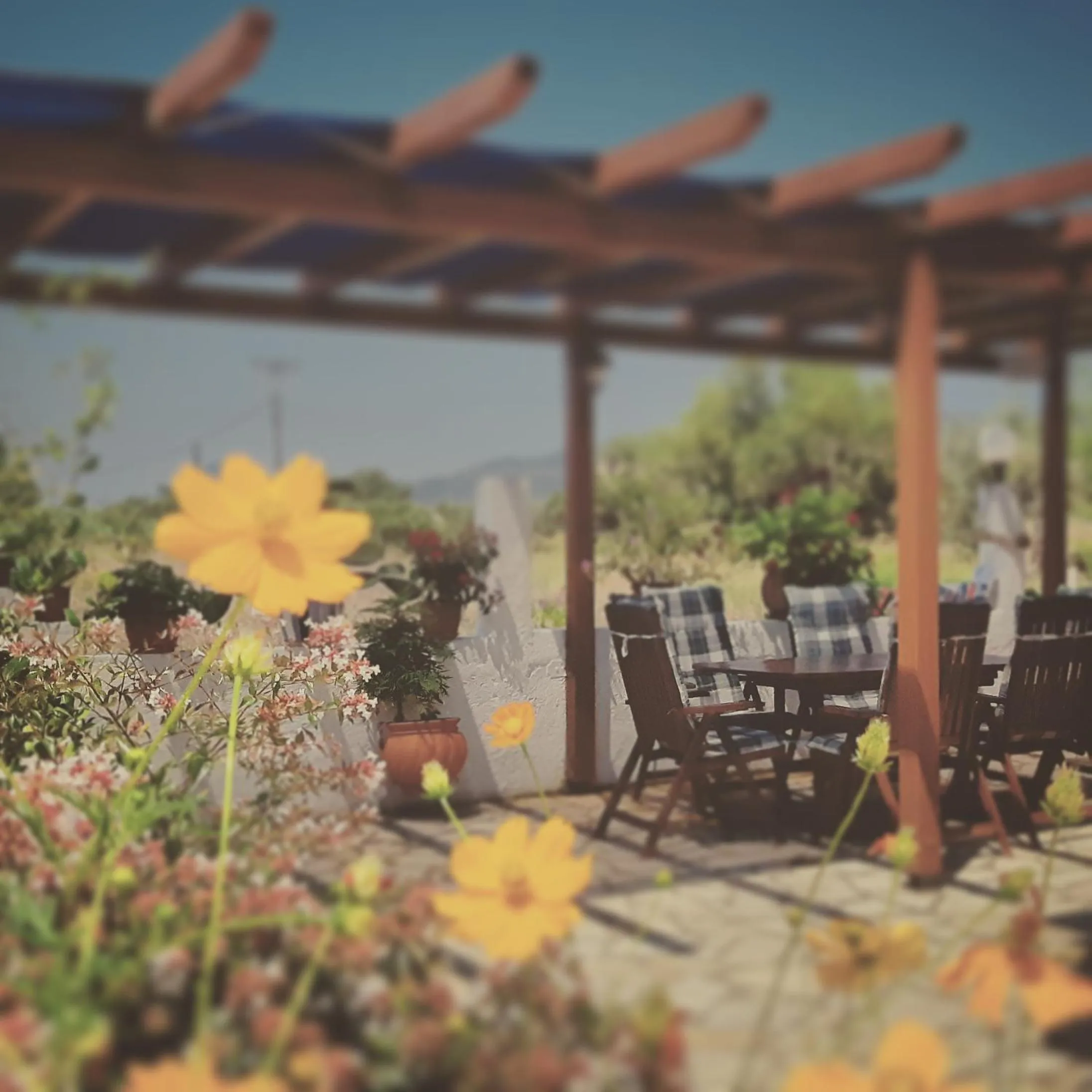 Patio in Voula Accommodation