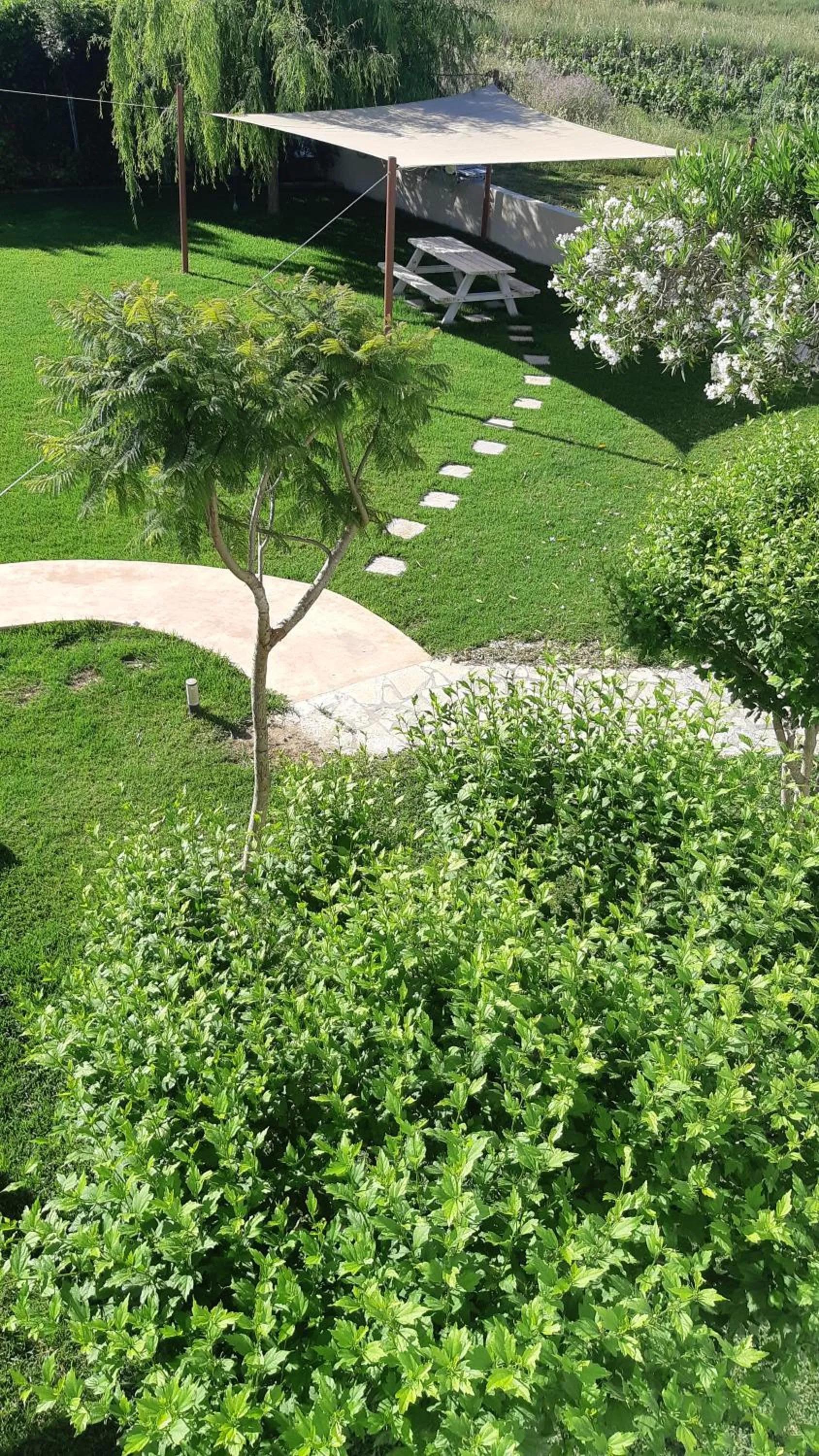 Garden in Voula Accommodation