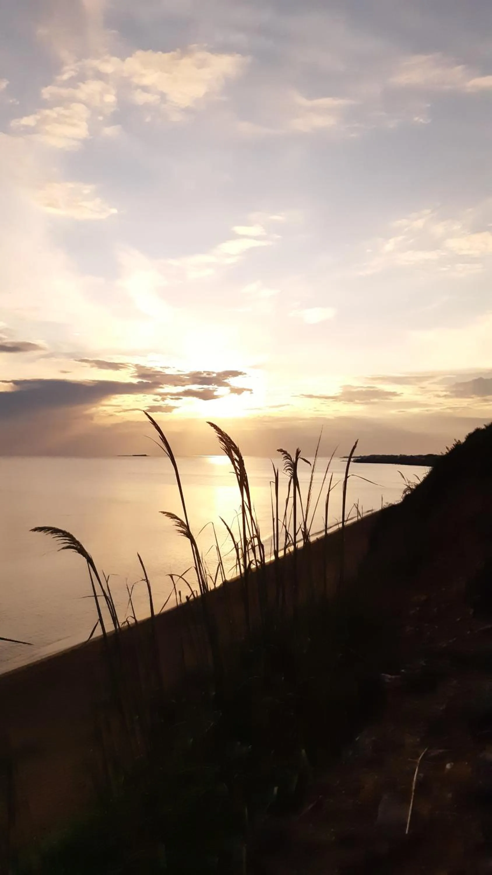 Natural landscape in Voula Accommodation