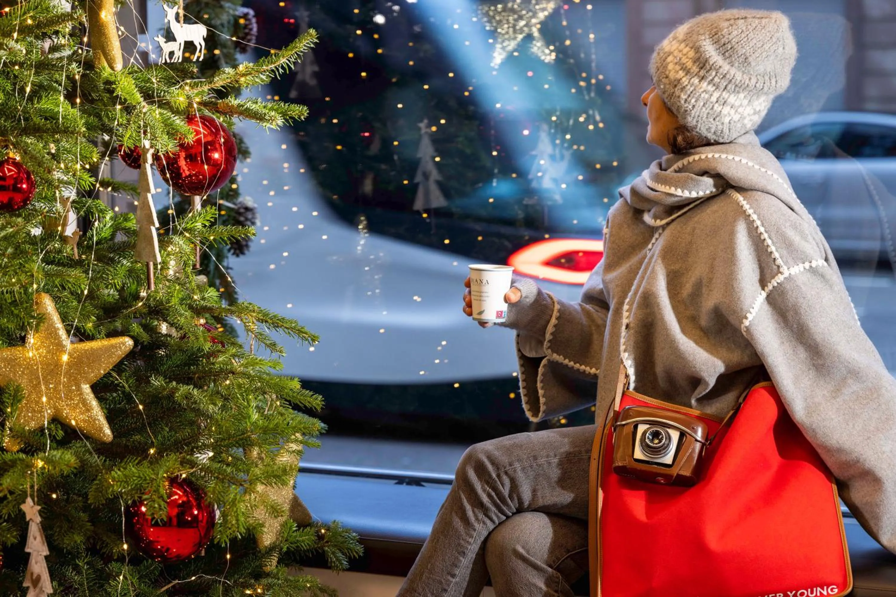 Winter in Hôtel Diana Dauphine