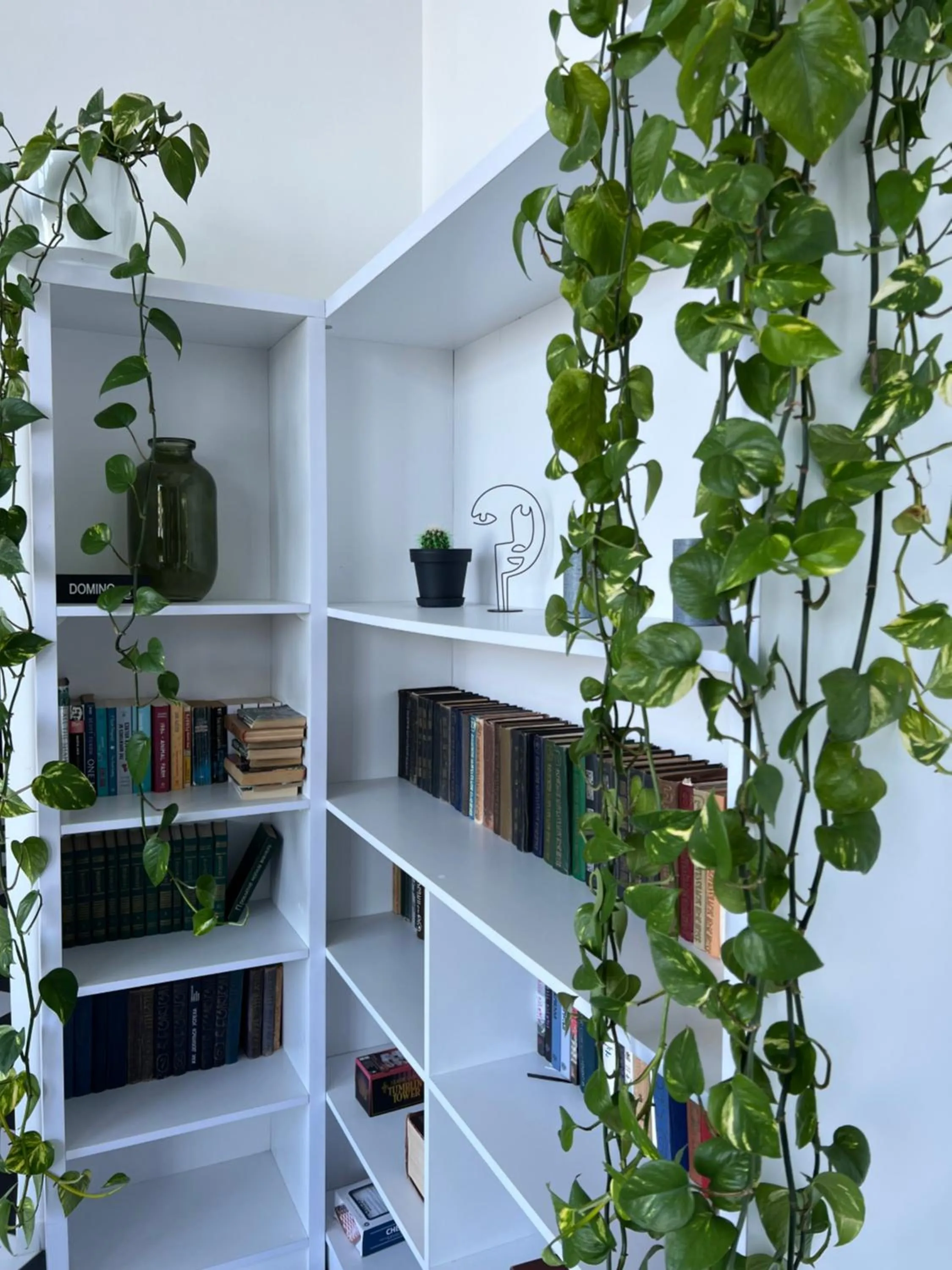 Library in Cabo Verde Boutique Hotel