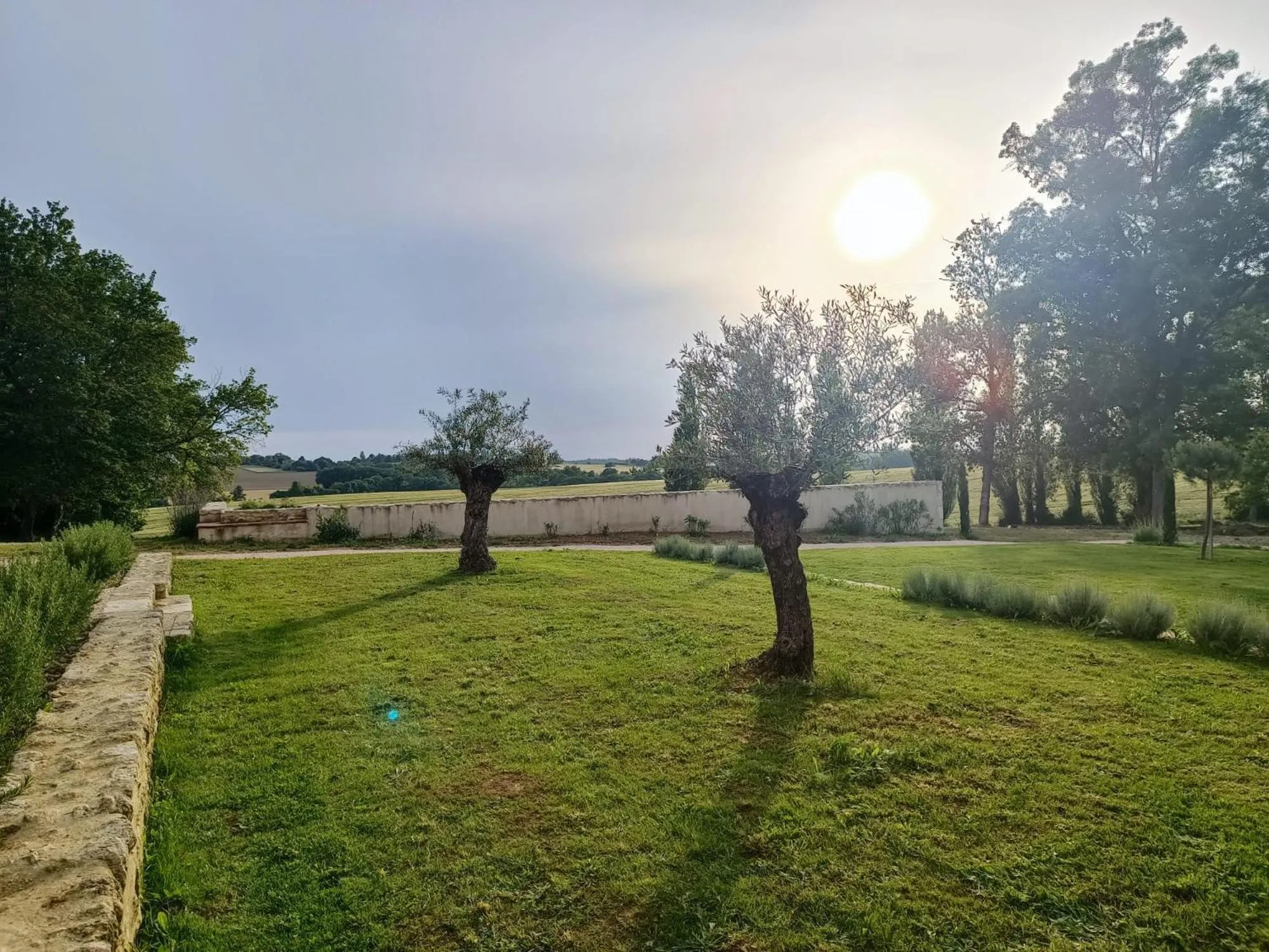 Garden in Maison Saint-Pé (Gers)