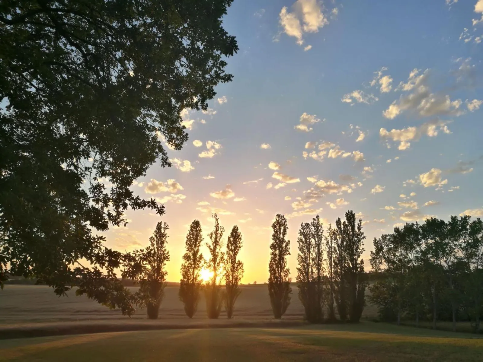 Garden in Maison Saint-Pé (Gers)