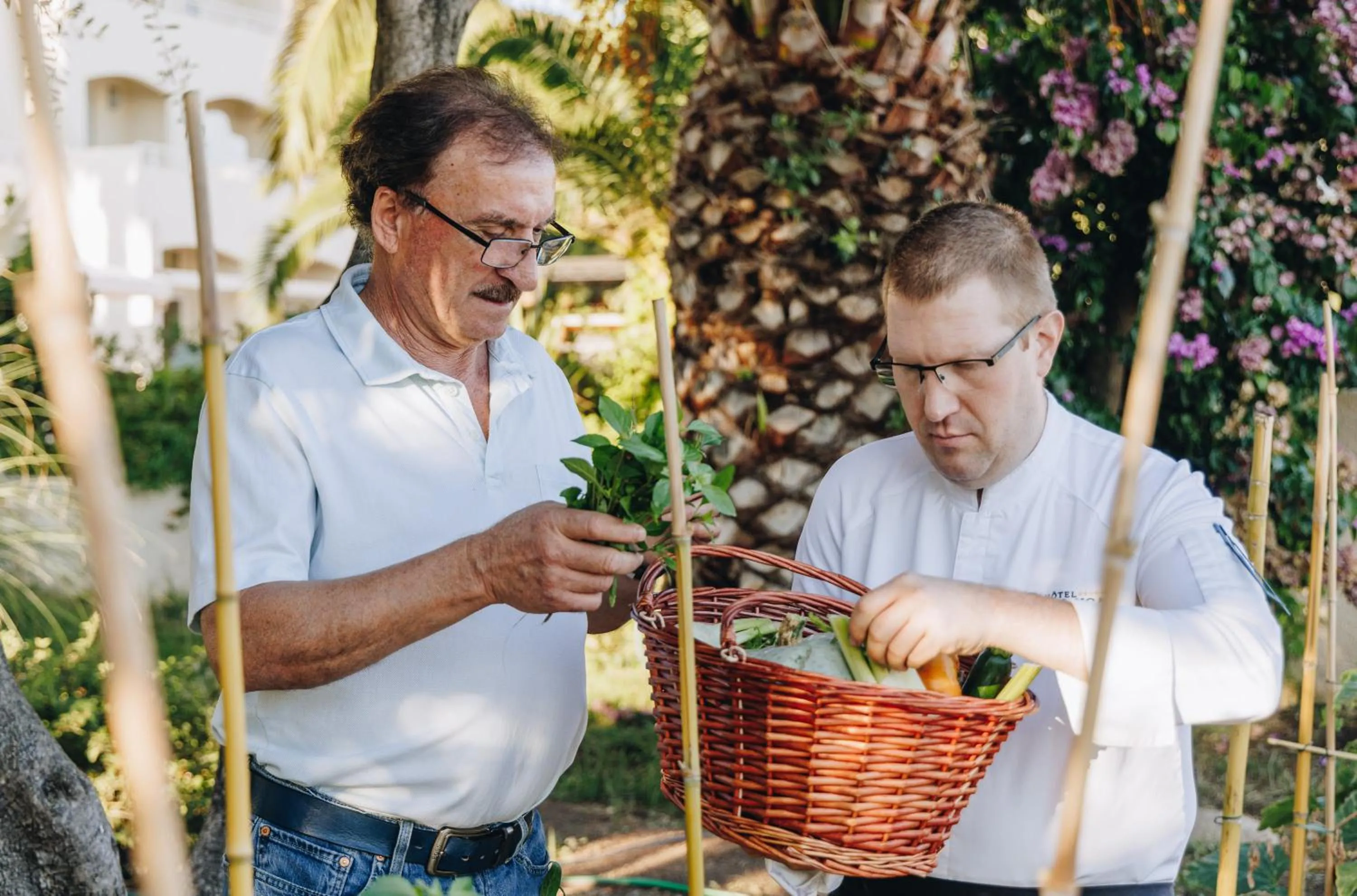 Restaurant/places to eat in Hotel Corsica & Spa Serena