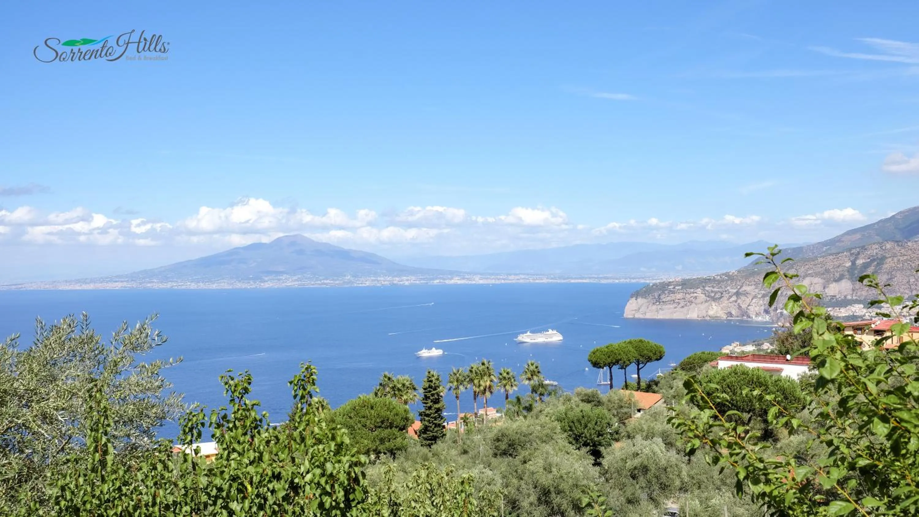 Natural landscape in Sorrento Hills