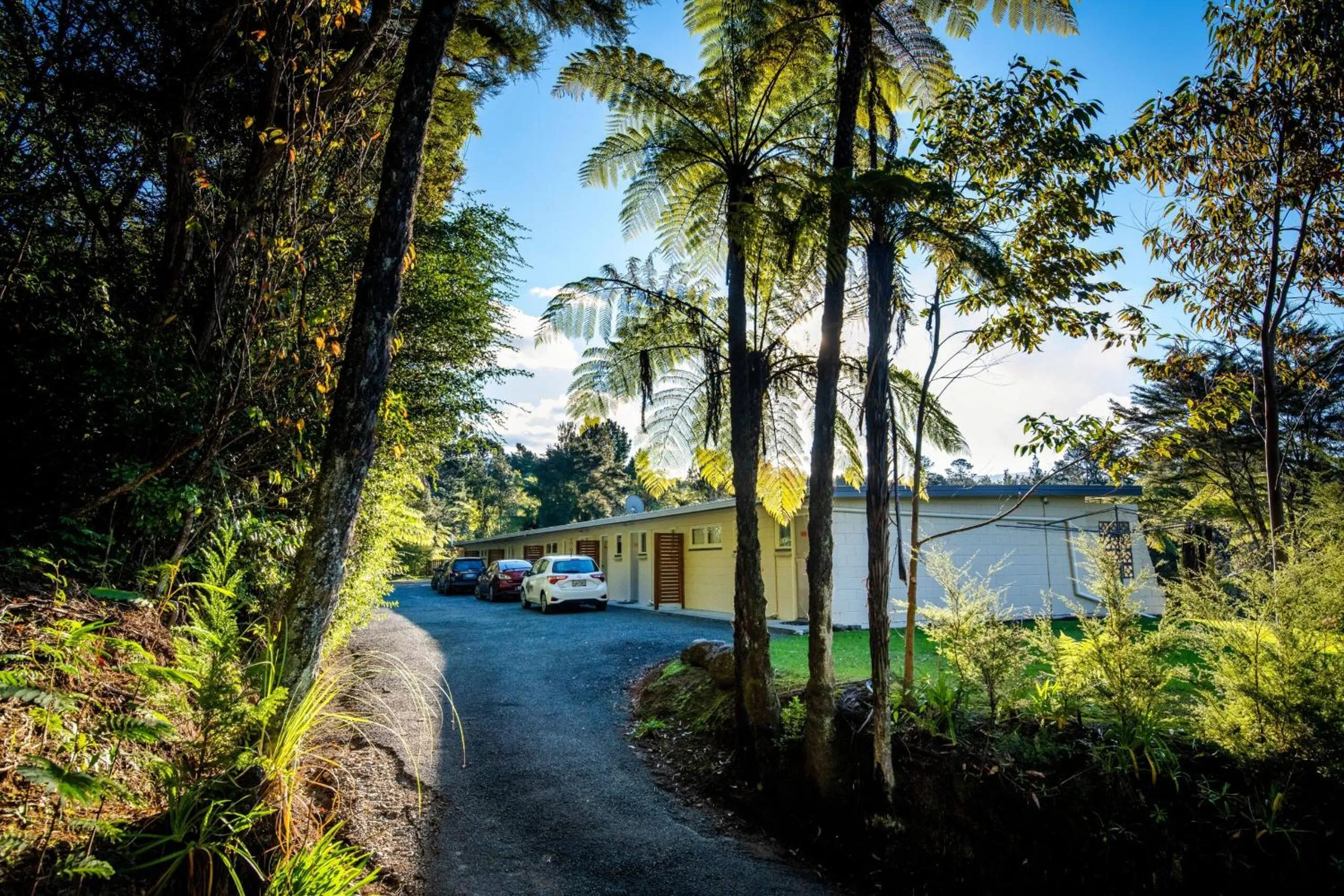 Natural landscape in Sapphire Springs Holiday Park and Thermal Pools