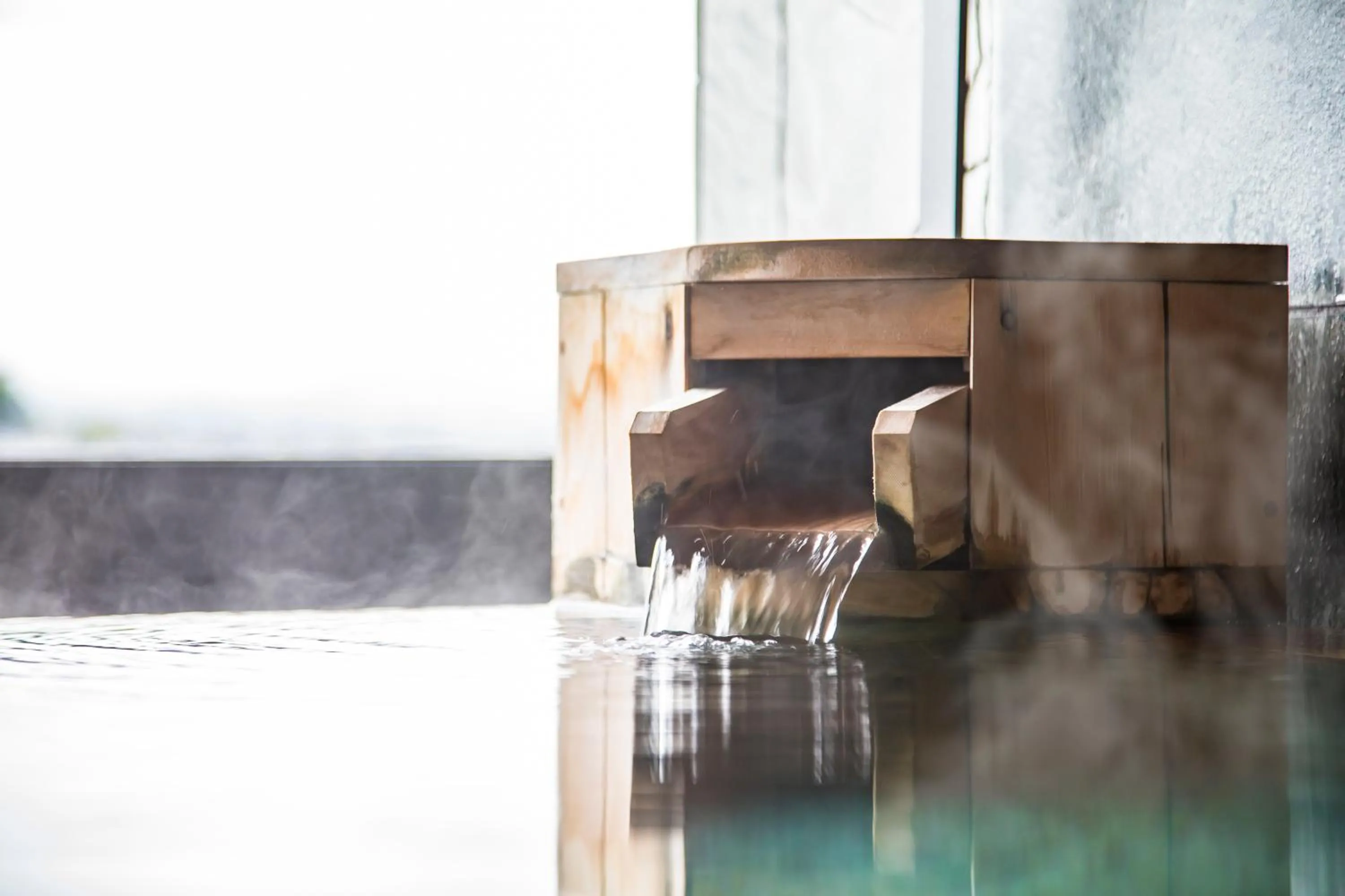 Hot Spring Bath in Fugaku Hanabusa