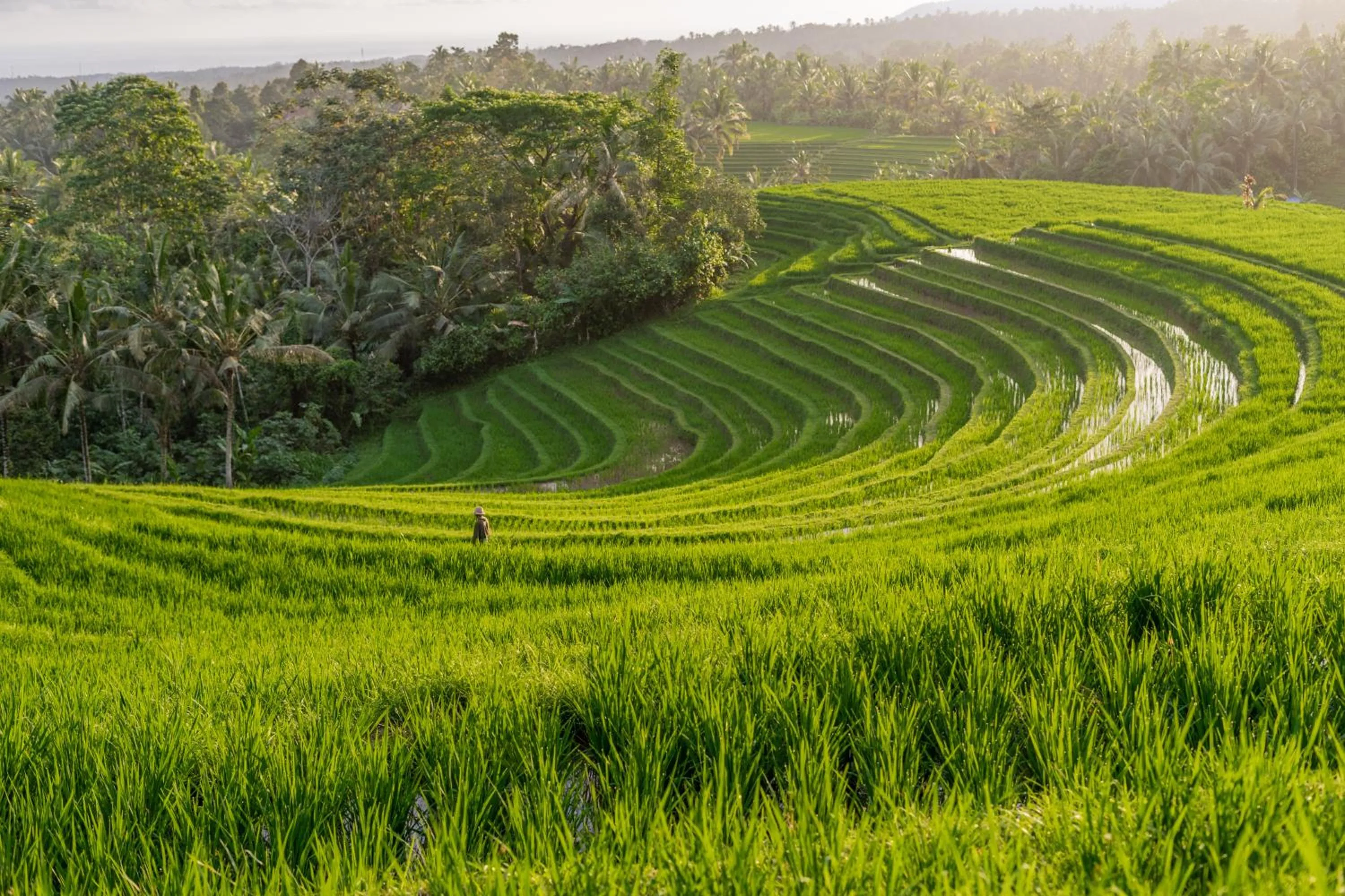 Nearby landmark in Galalima Glamping by AGATA