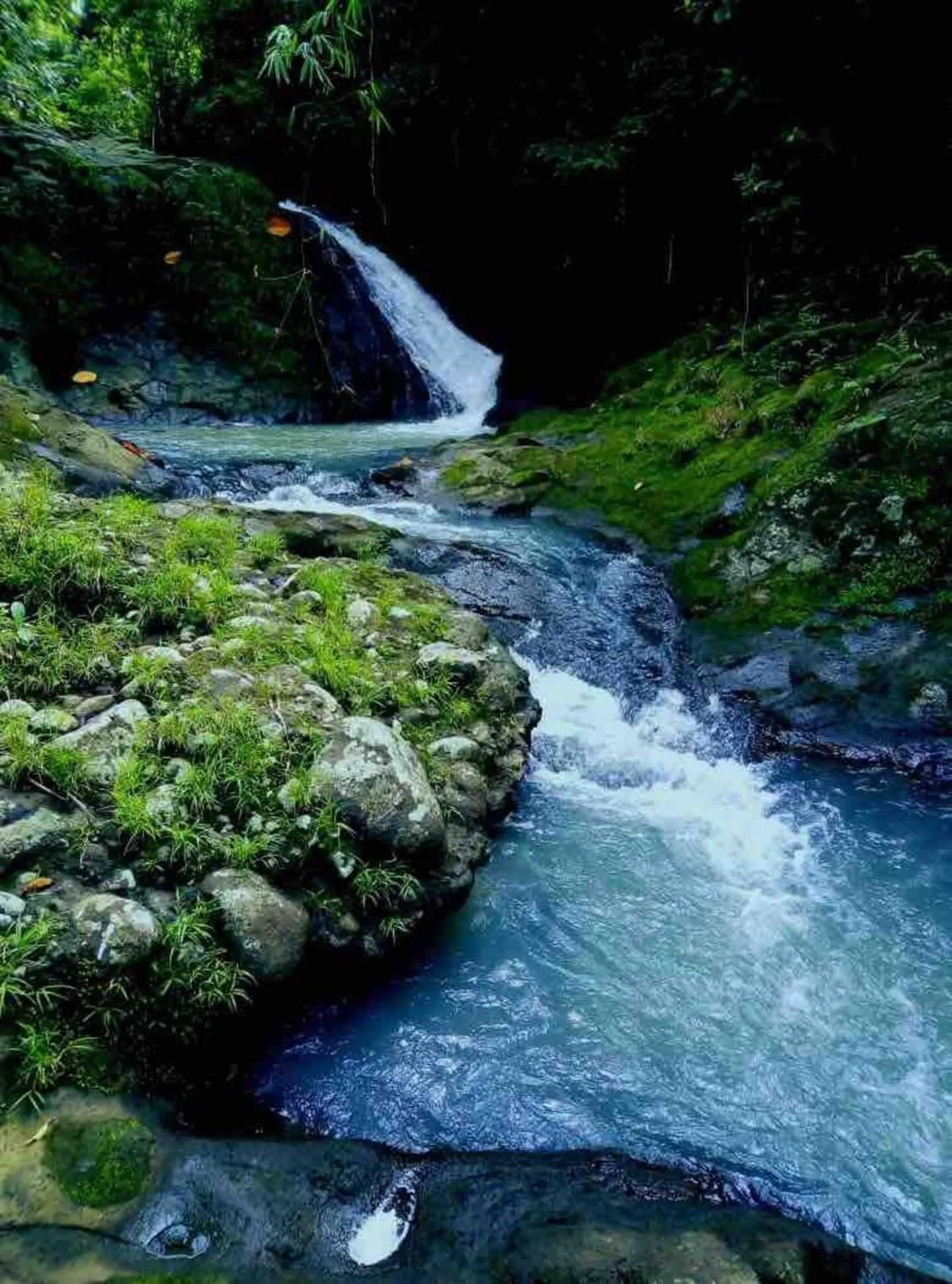 River view in Galalima Glamping by AGATA