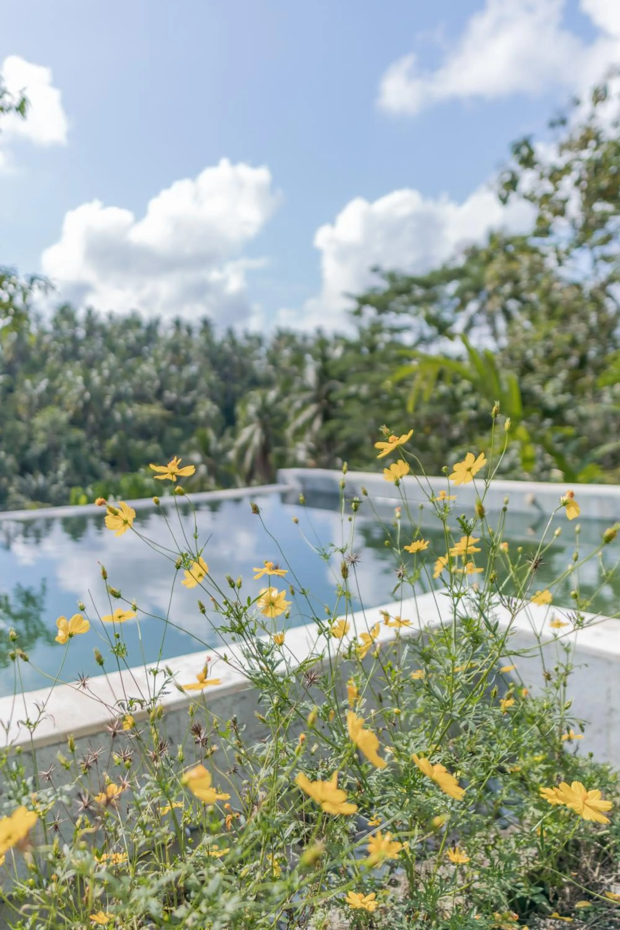 Swimming pool in Galalima Glamping by AGATA