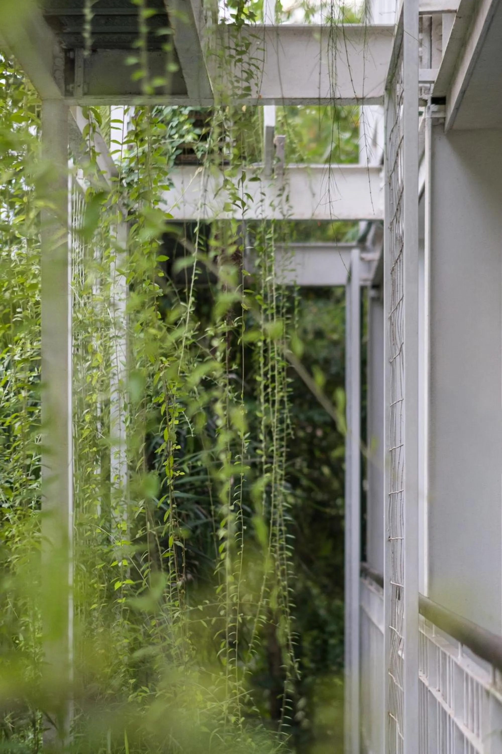 Garden view in Rimbun Canggu Hotel