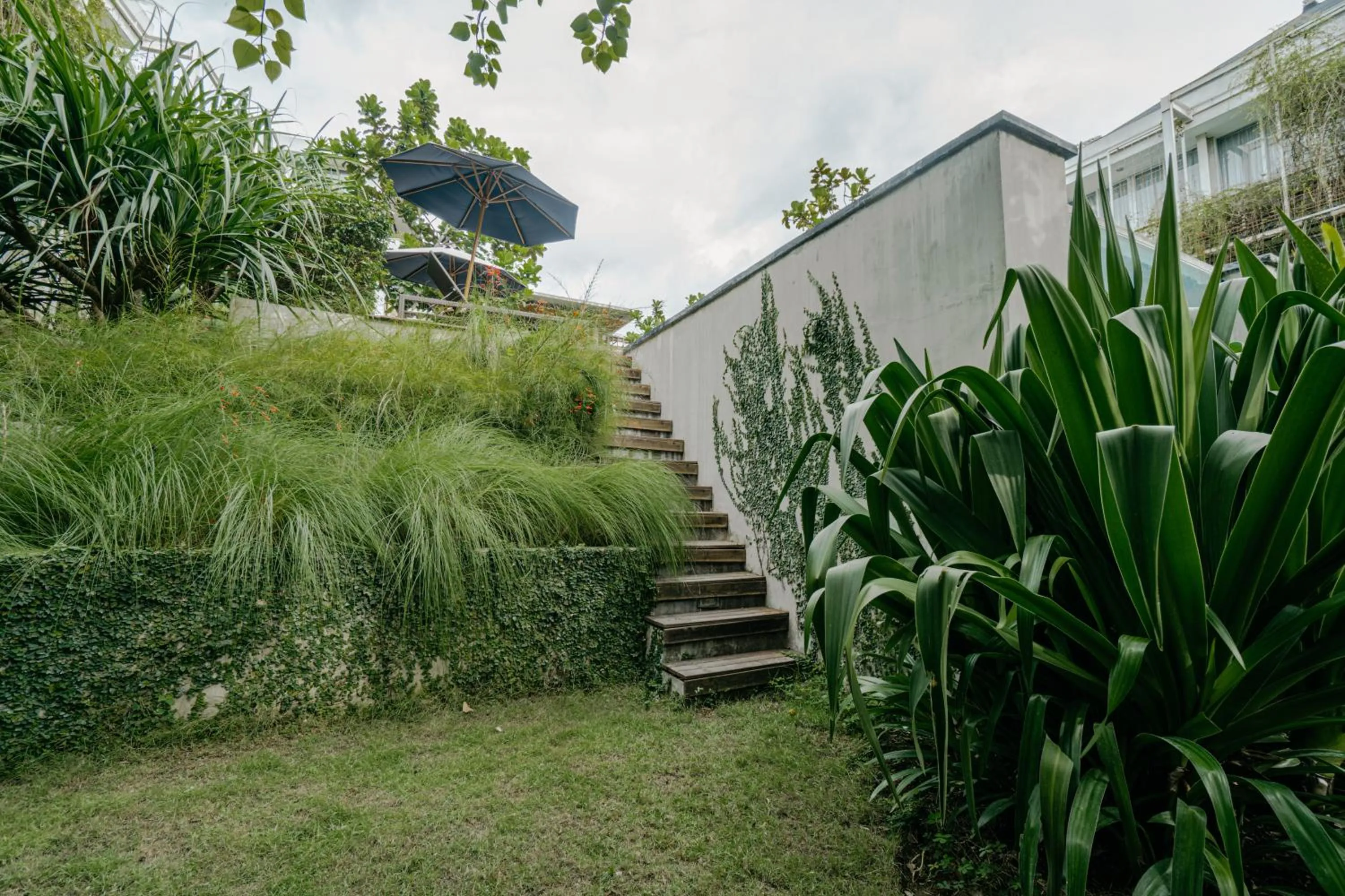 Garden in Rimbun Canggu Hotel