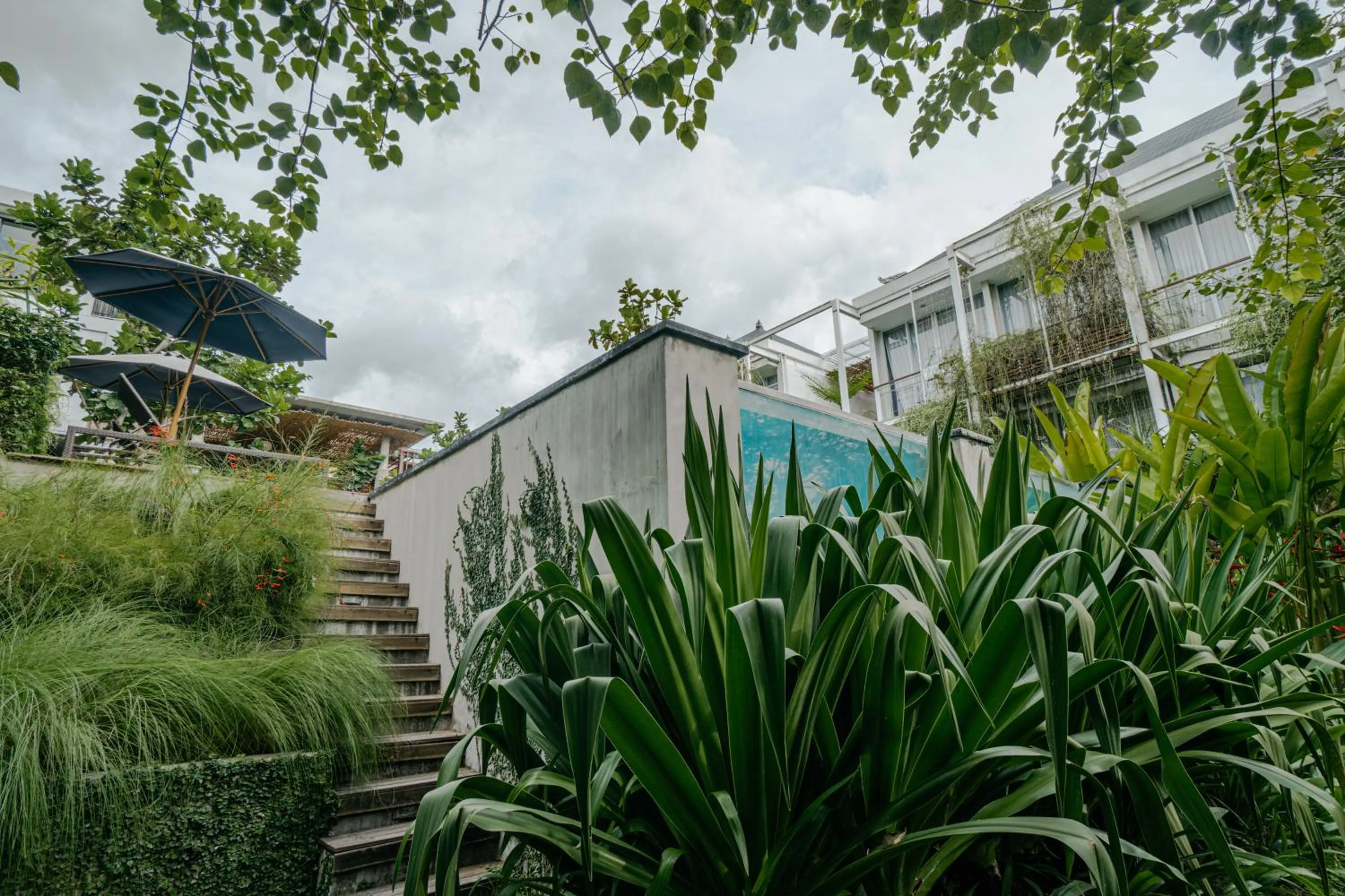 View (from property/room) in Rimbun Canggu Hotel