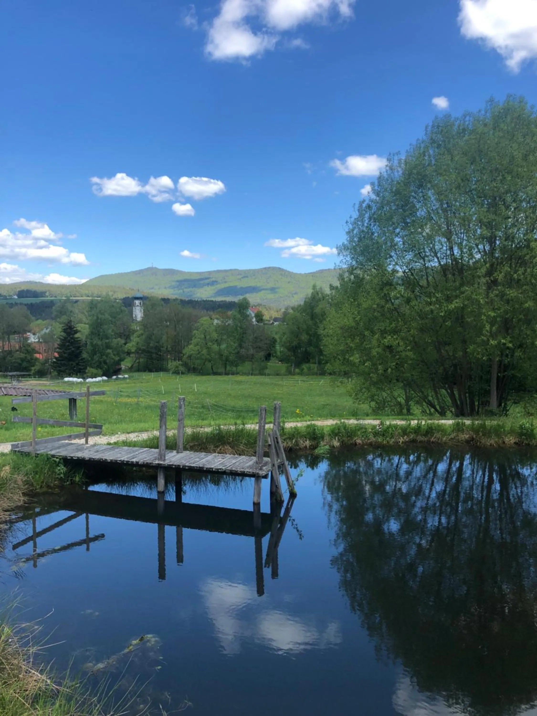 Garden view in Landhotel Christopherhof