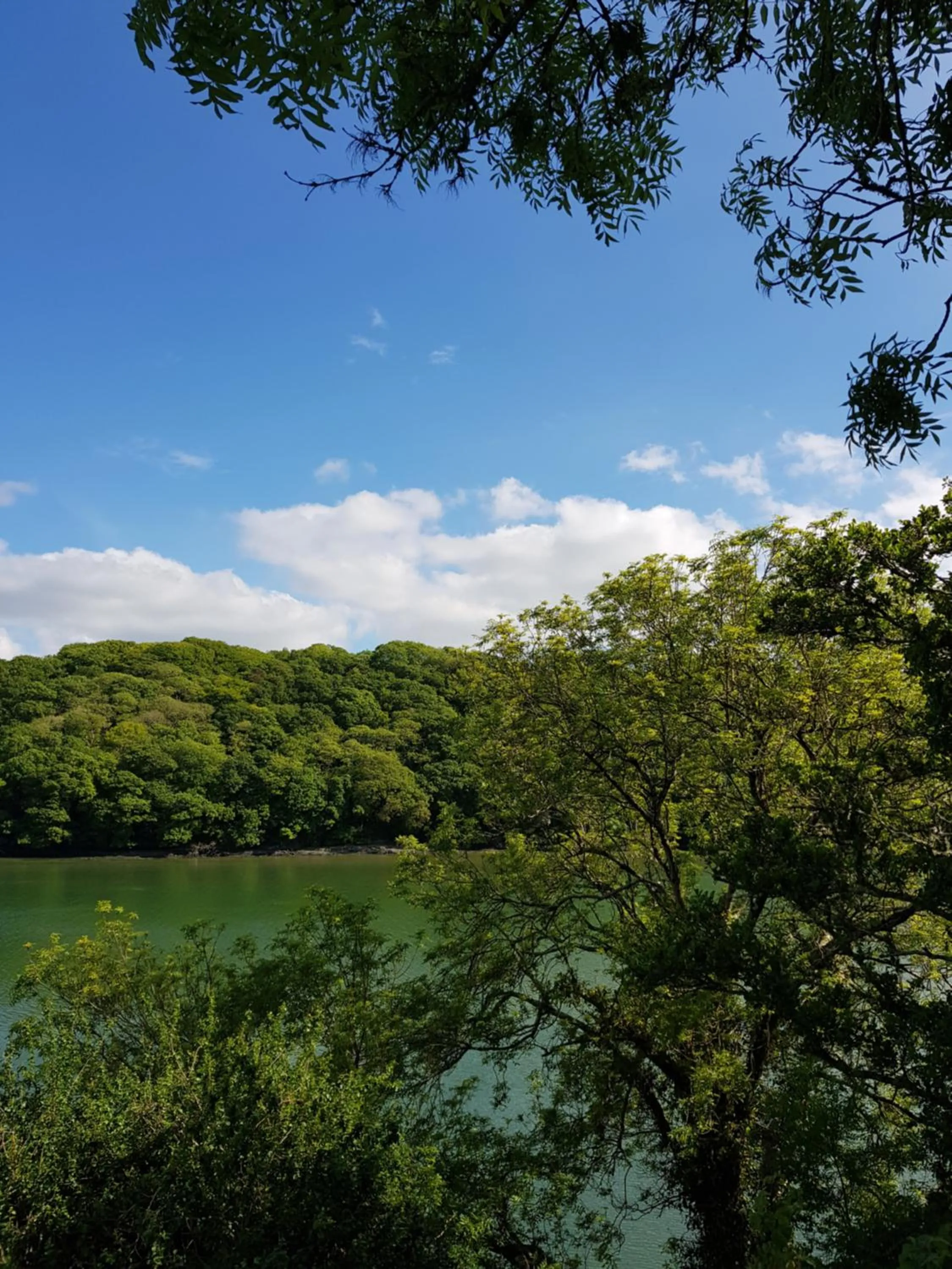 Natural landscape in Chy Bre
