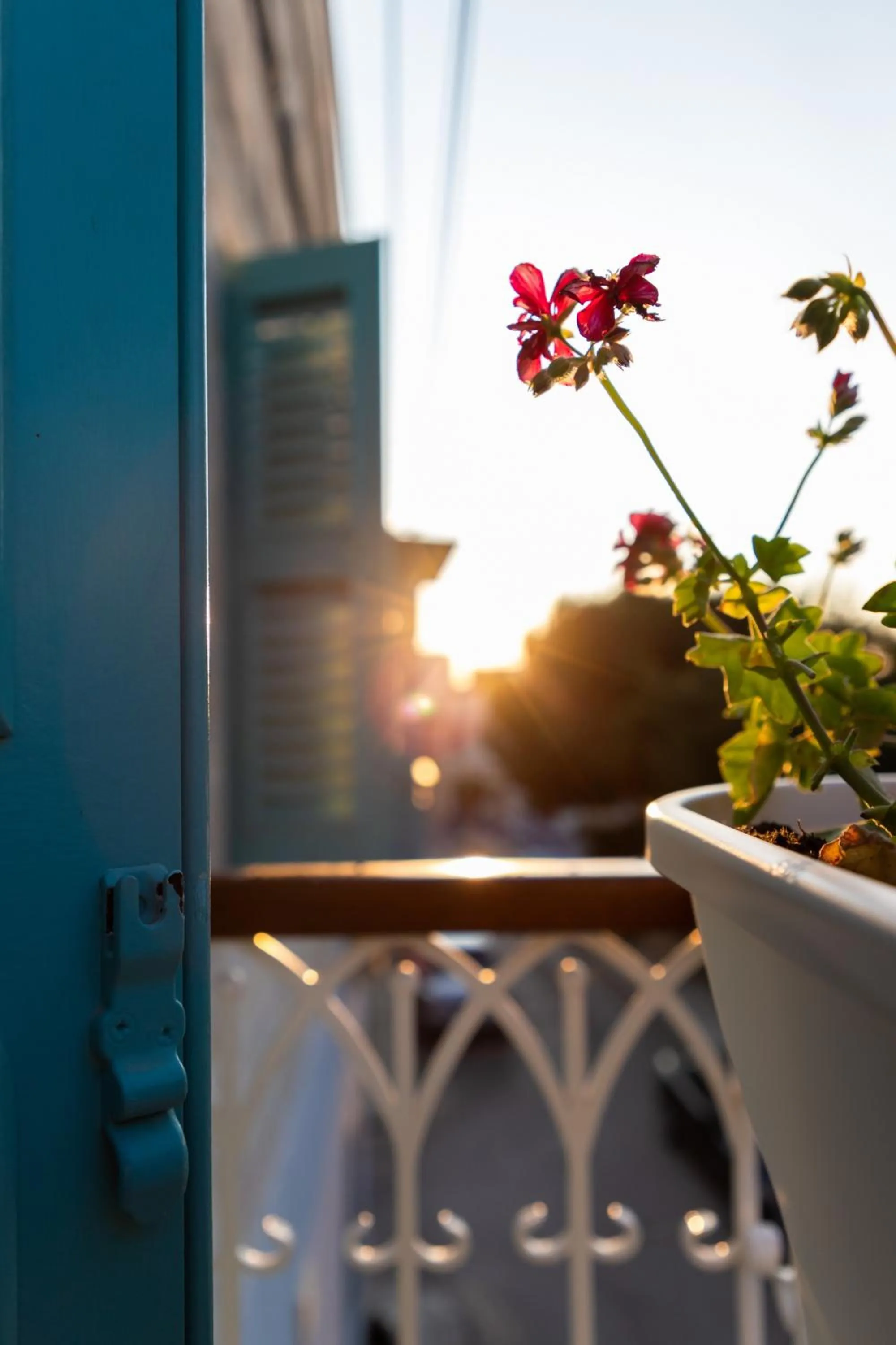 Property building in MYN in Rabat