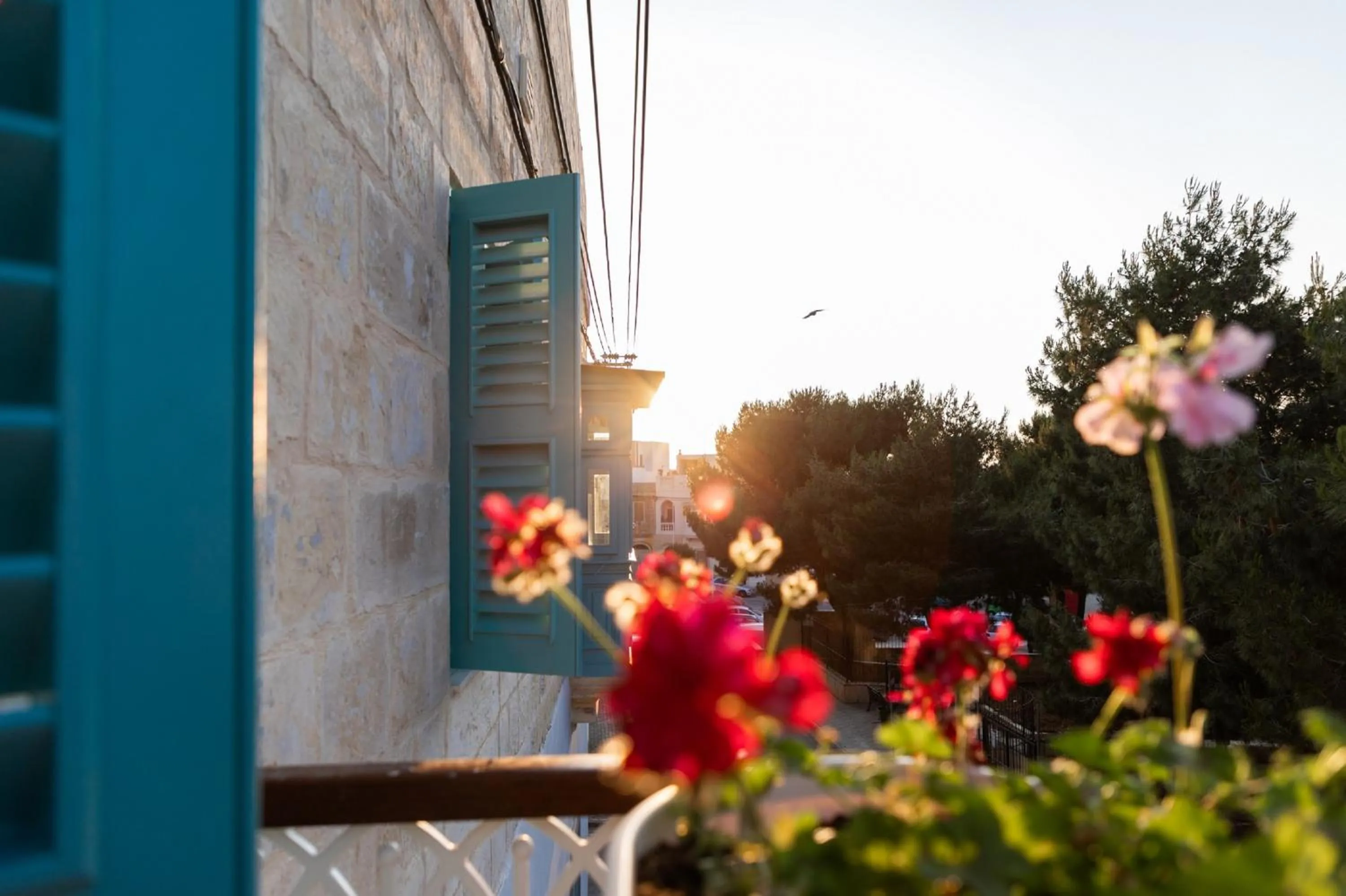 Property building in MYN in Rabat