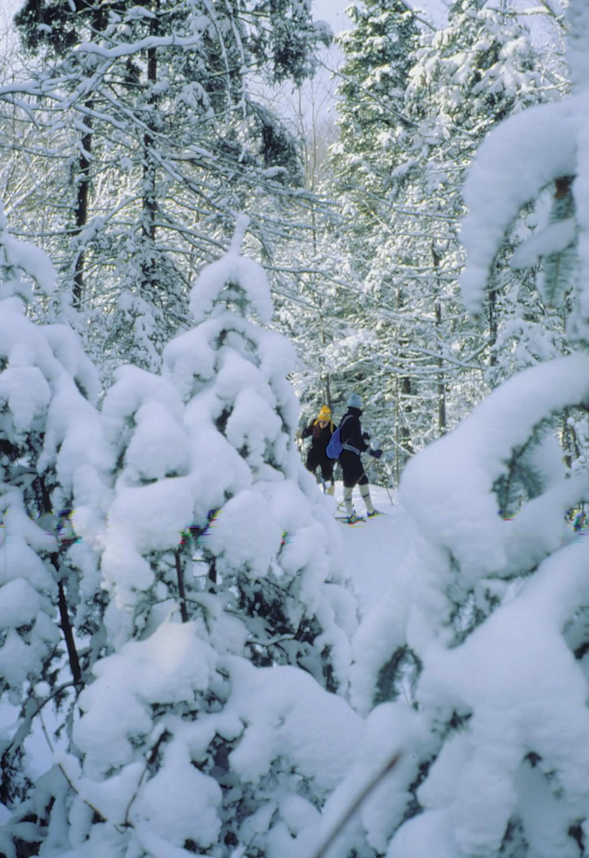 Winter in Hôtel Far Hills