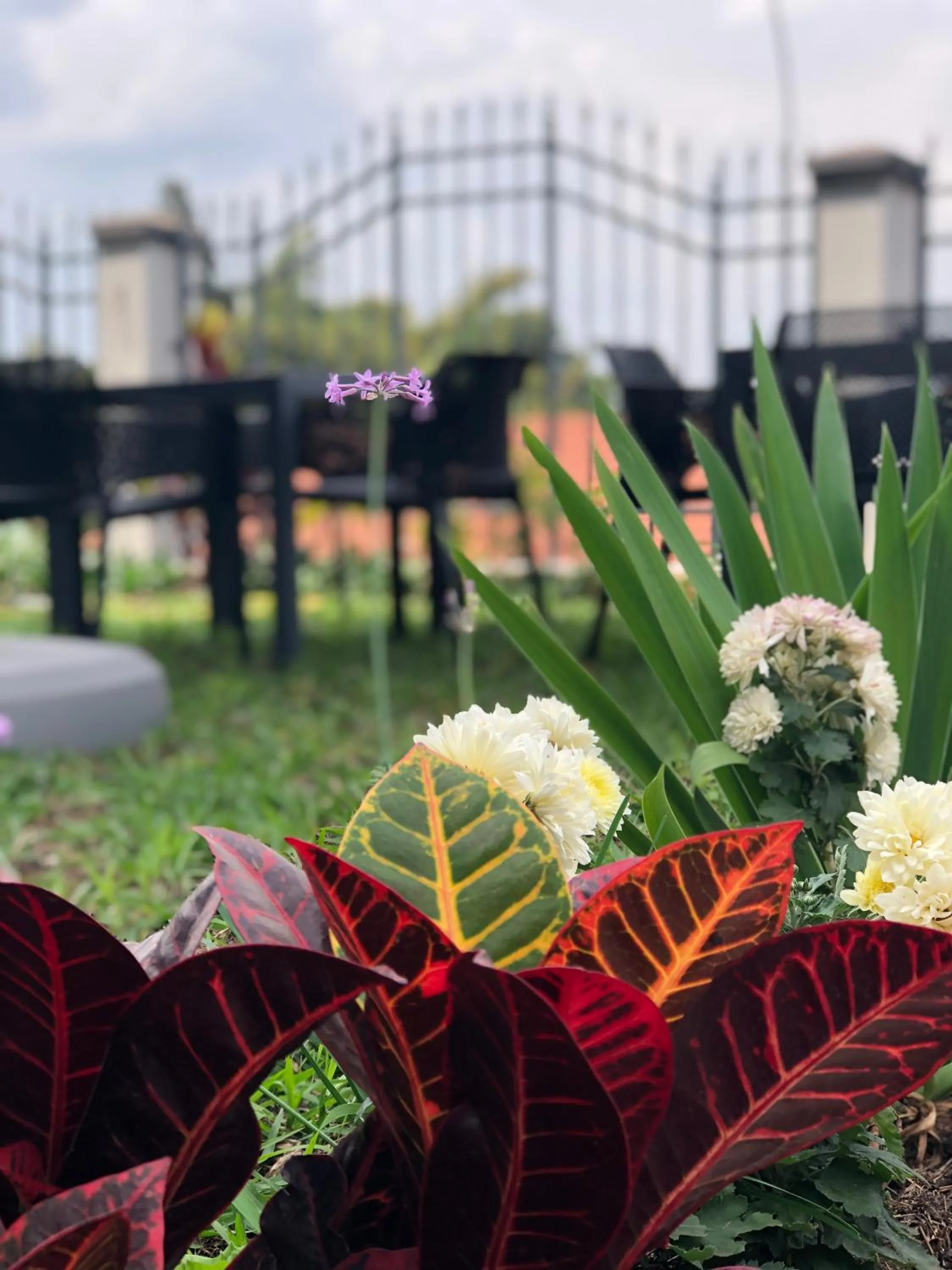 Day in Mythos Boutique Hotel