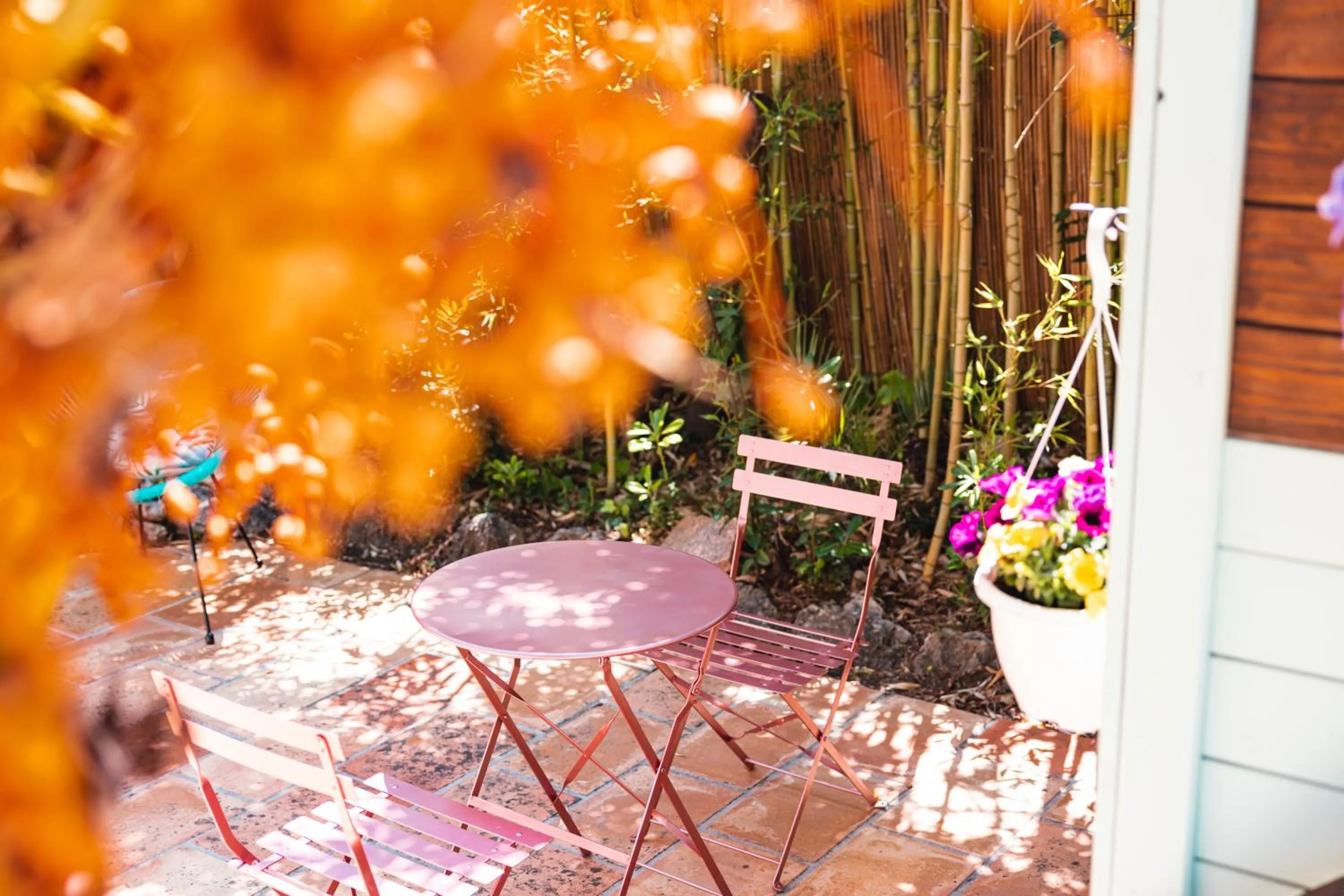 Garden in Hôtel La Villa Cap d’Antibes