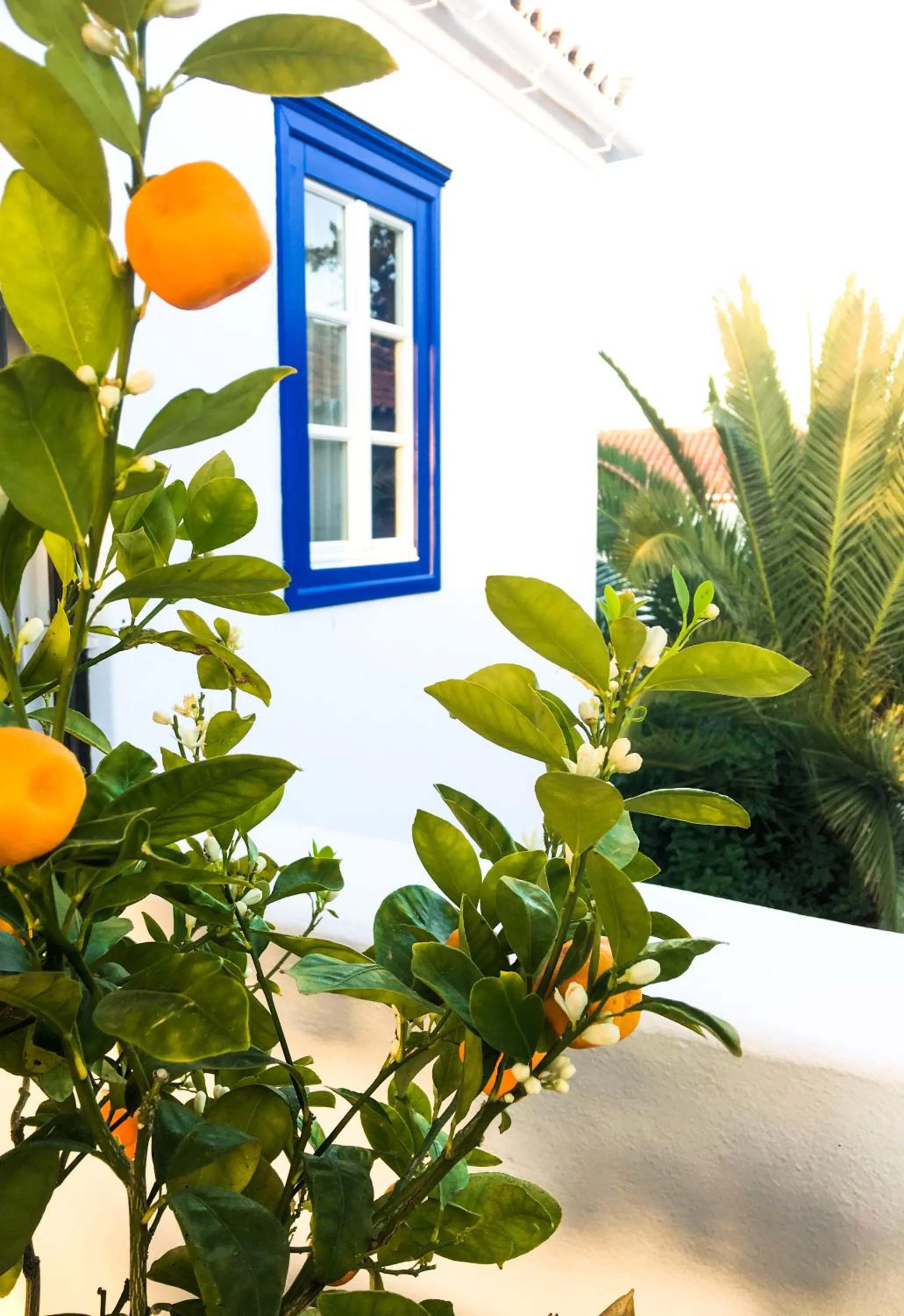 Property building in Armata Boutique Hotel