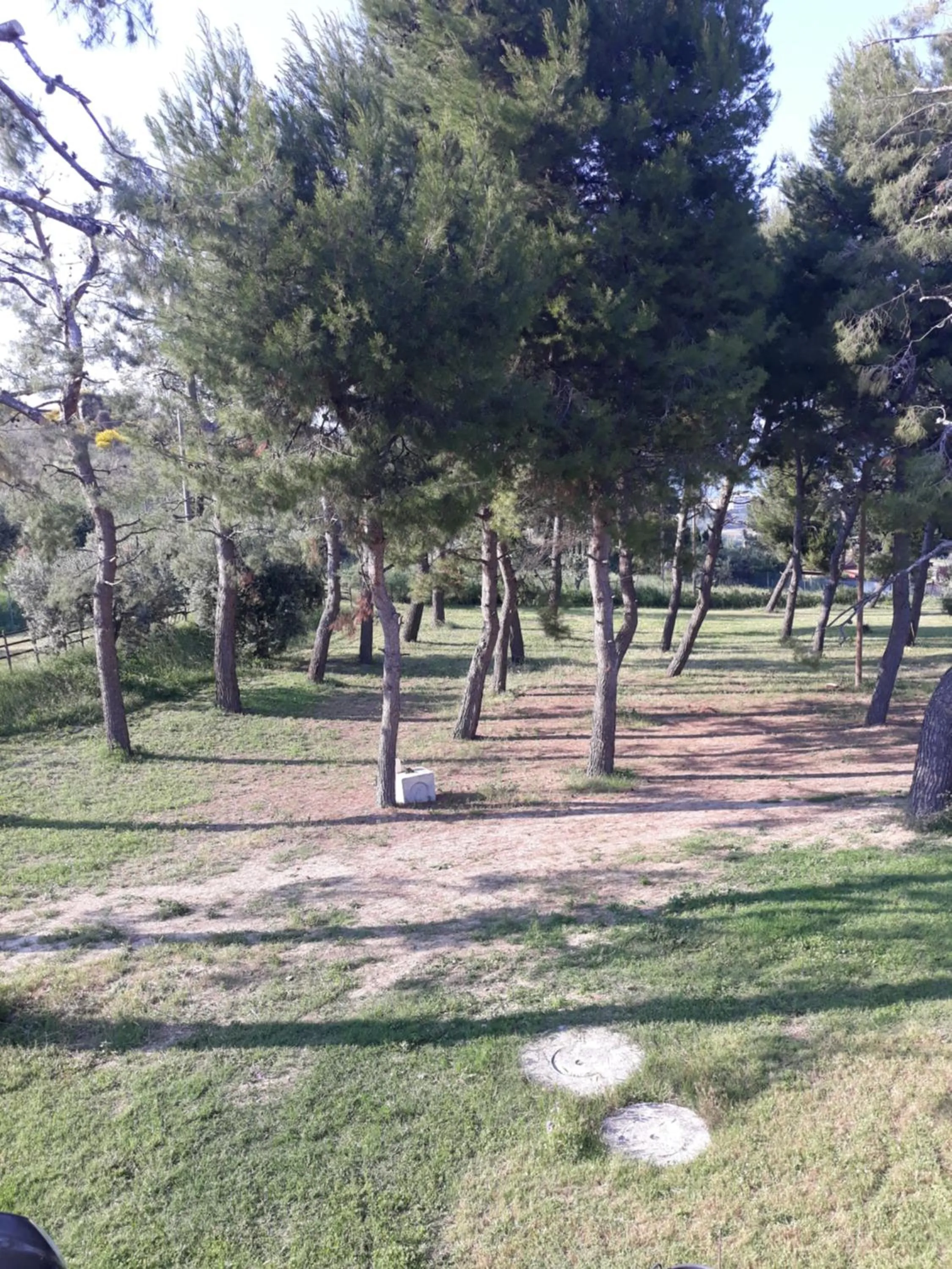 Property building in La Collina sul Mare