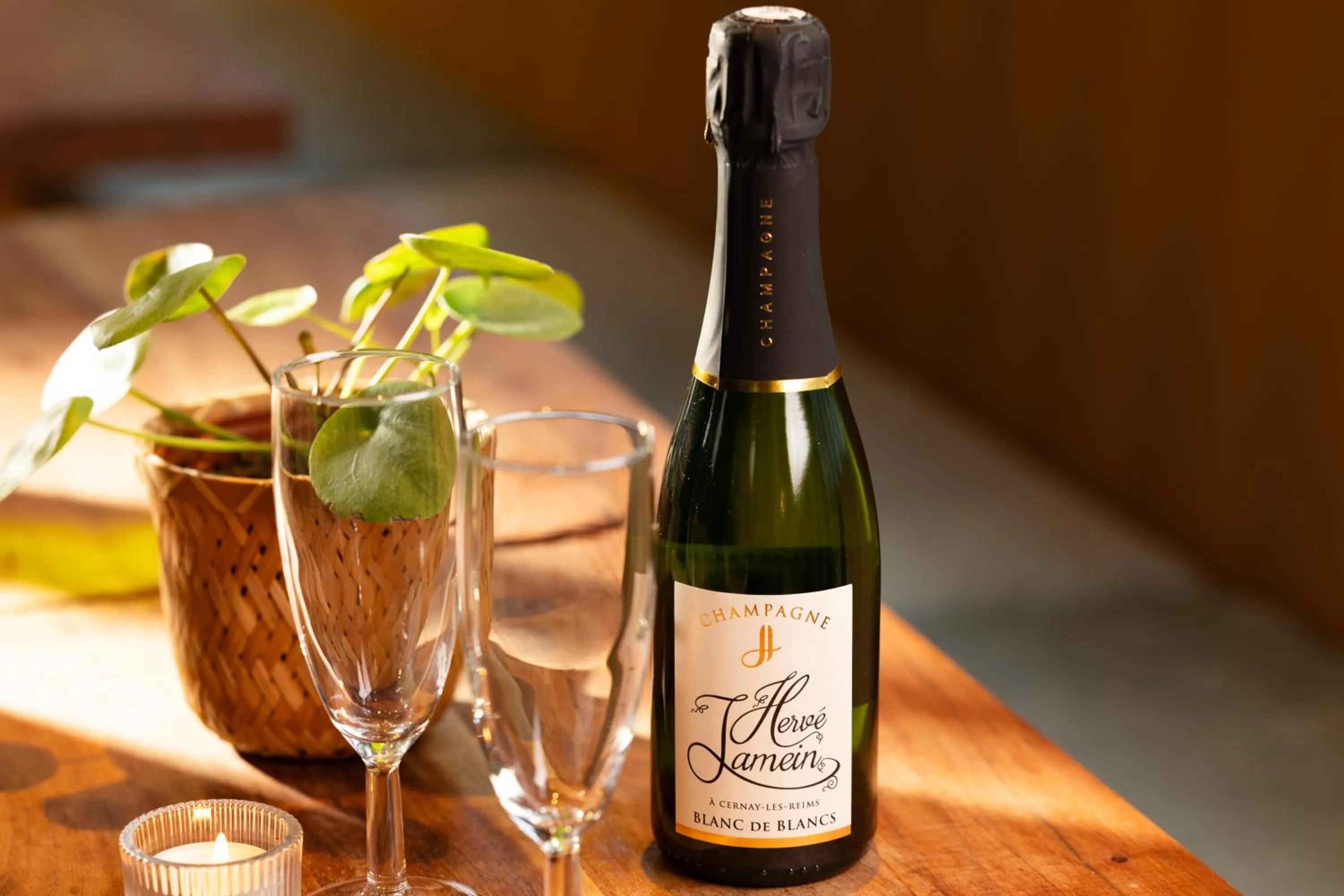 Food and drinks in Hôtel WYLD Saint Germain