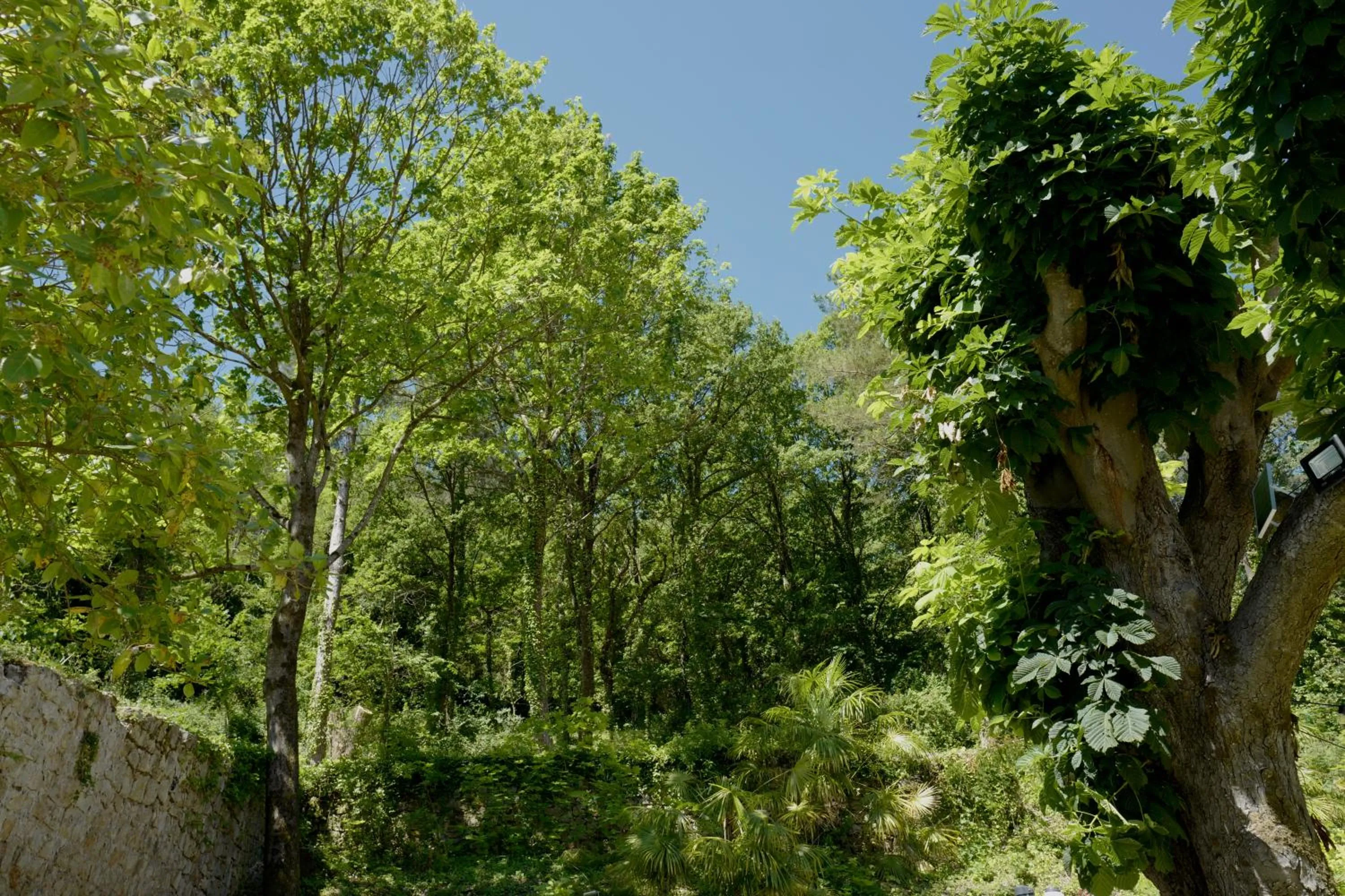 Garden in Hotel De Ma Tante