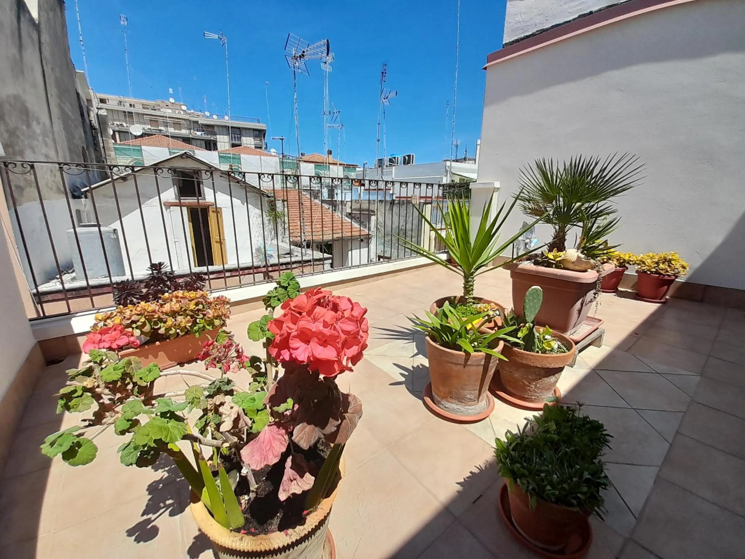 Il Cavalliere Bed & breakfast