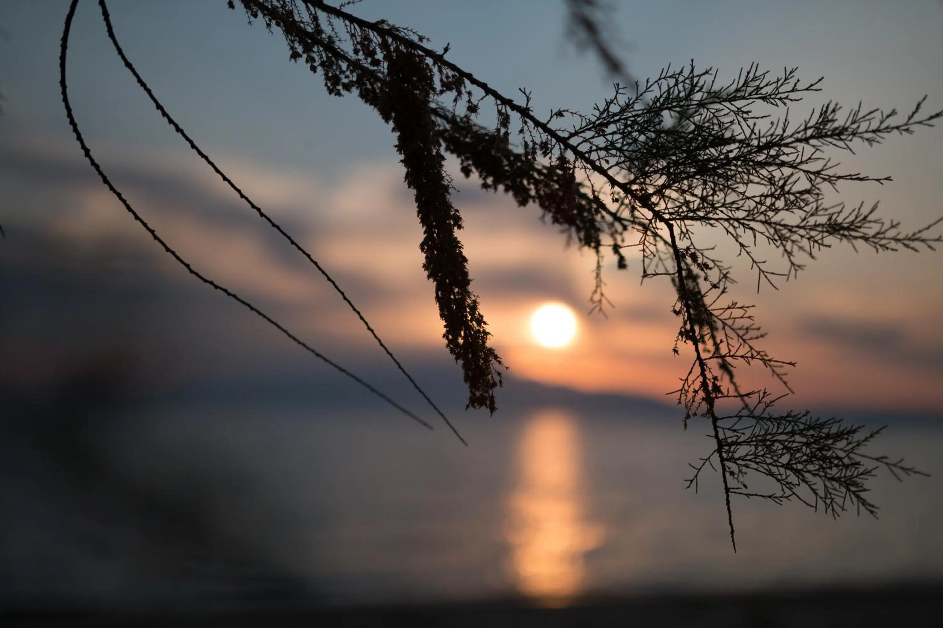 Sunset in Sentimento