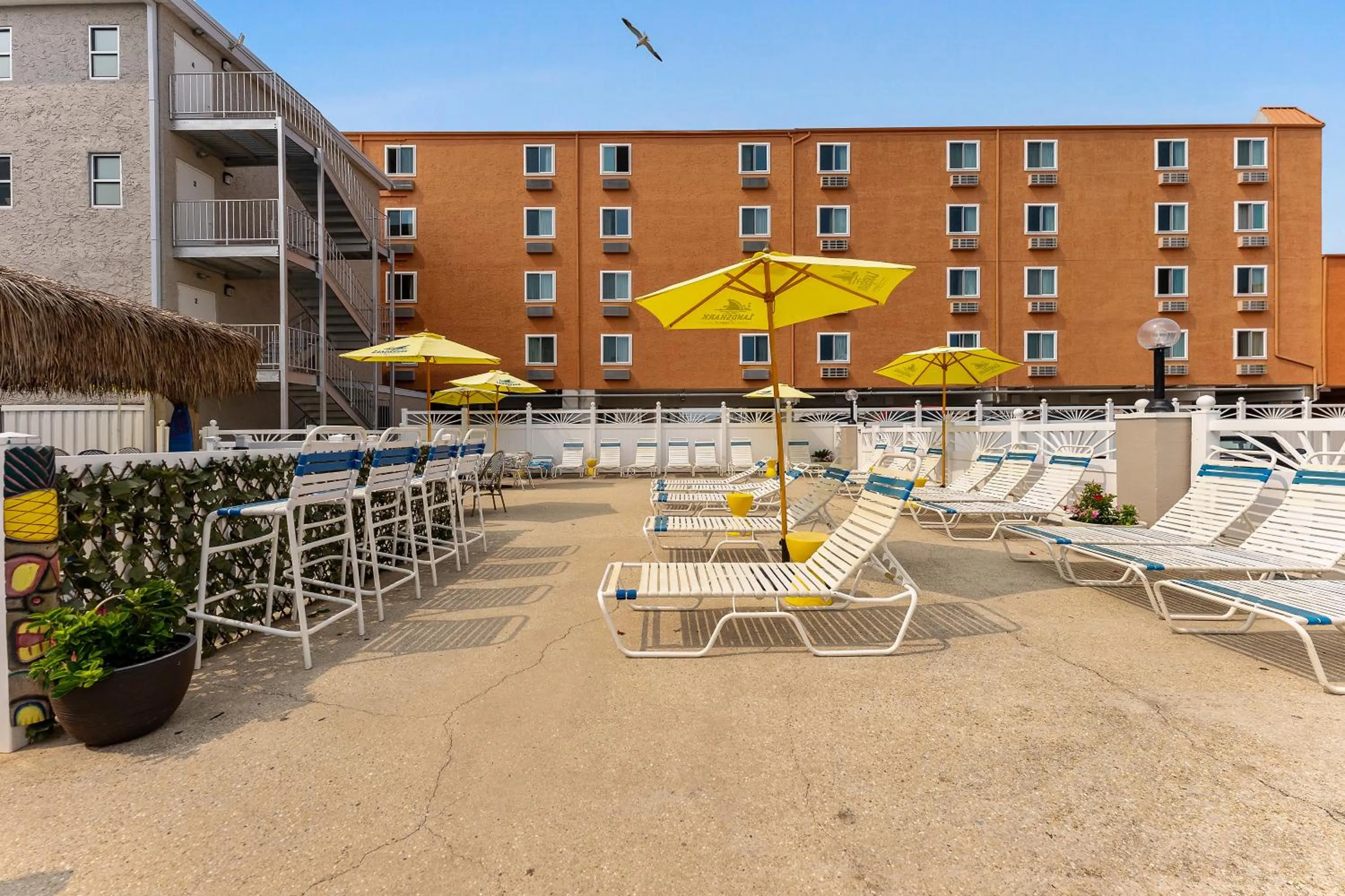 Swimming pool in Oceanic Hotel & Barefoot Tiki Bar