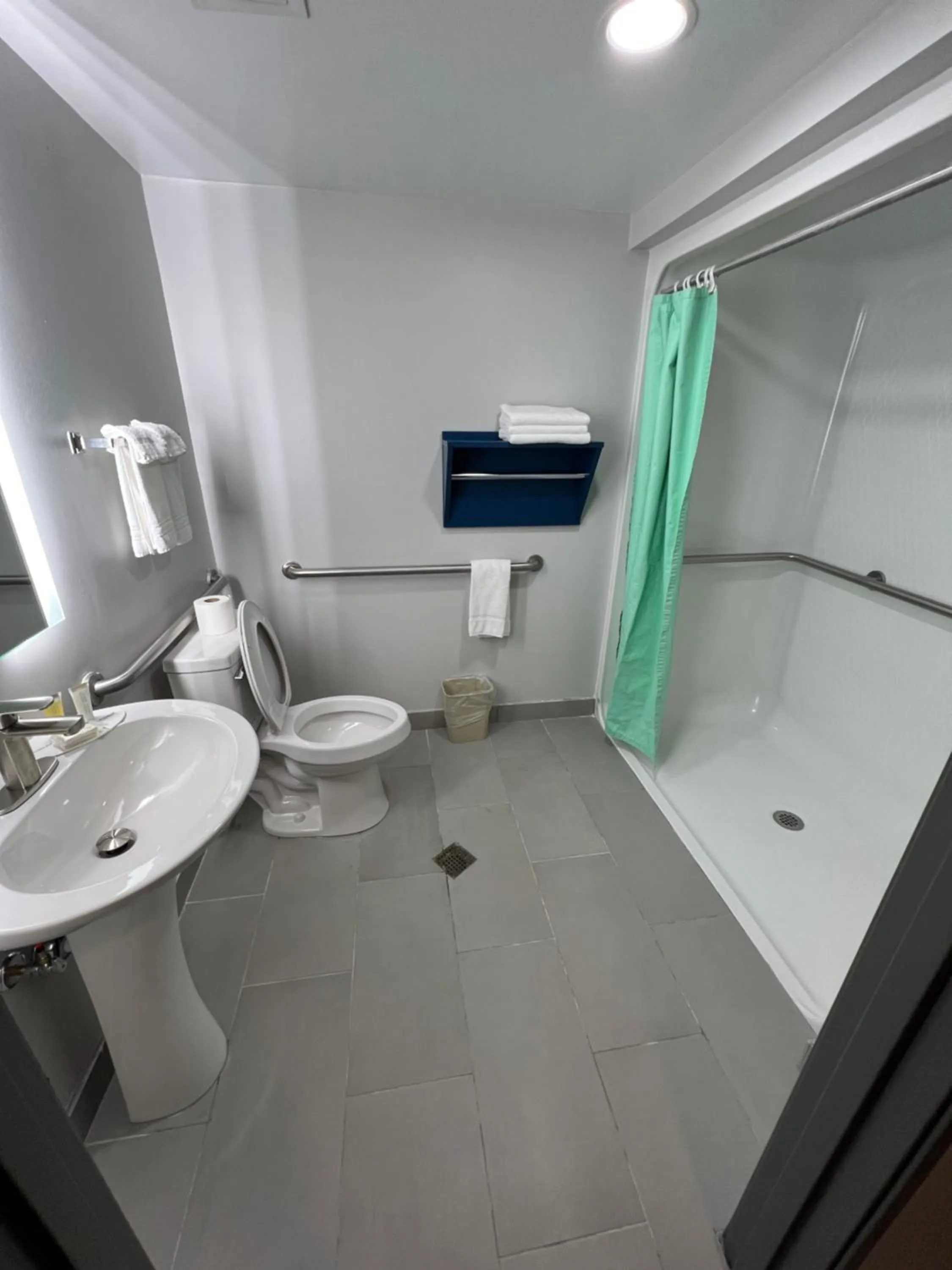 Bathroom in Microtel Inn & Suites by Wyndham Charlotte/Northlake