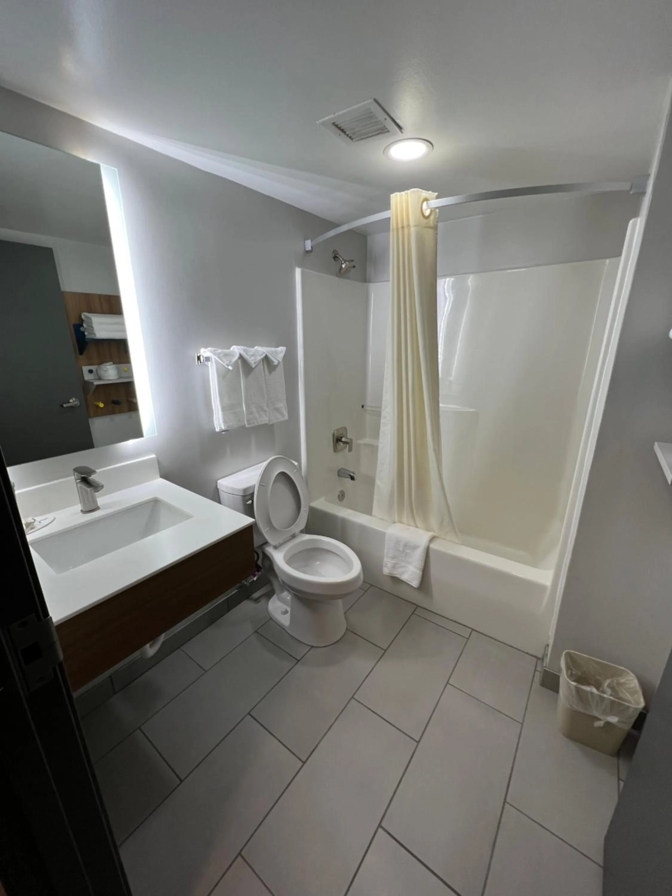 Bath in Microtel Inn & Suites by Wyndham Charlotte/Northlake