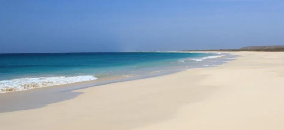 Blue Eagle Guesthouse - Casa de hospedes