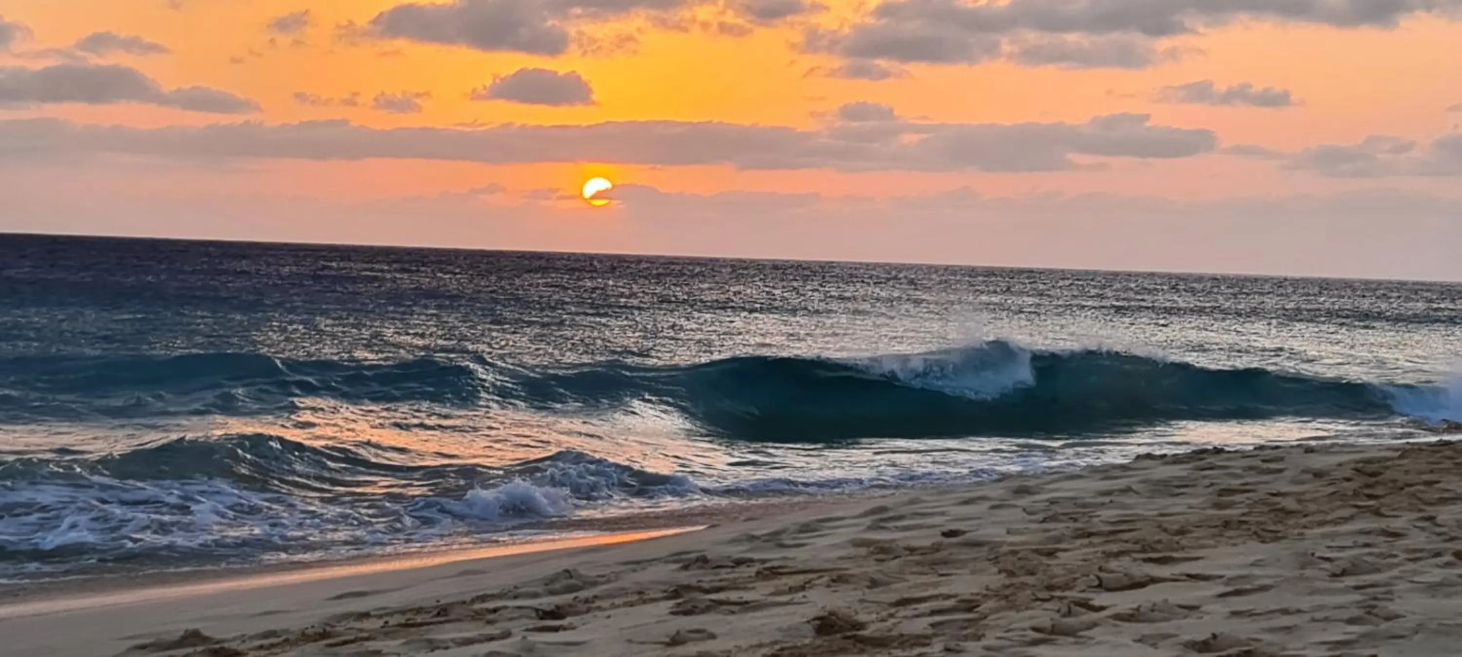 Blue Eagle Guesthouse - Casa de hospedes